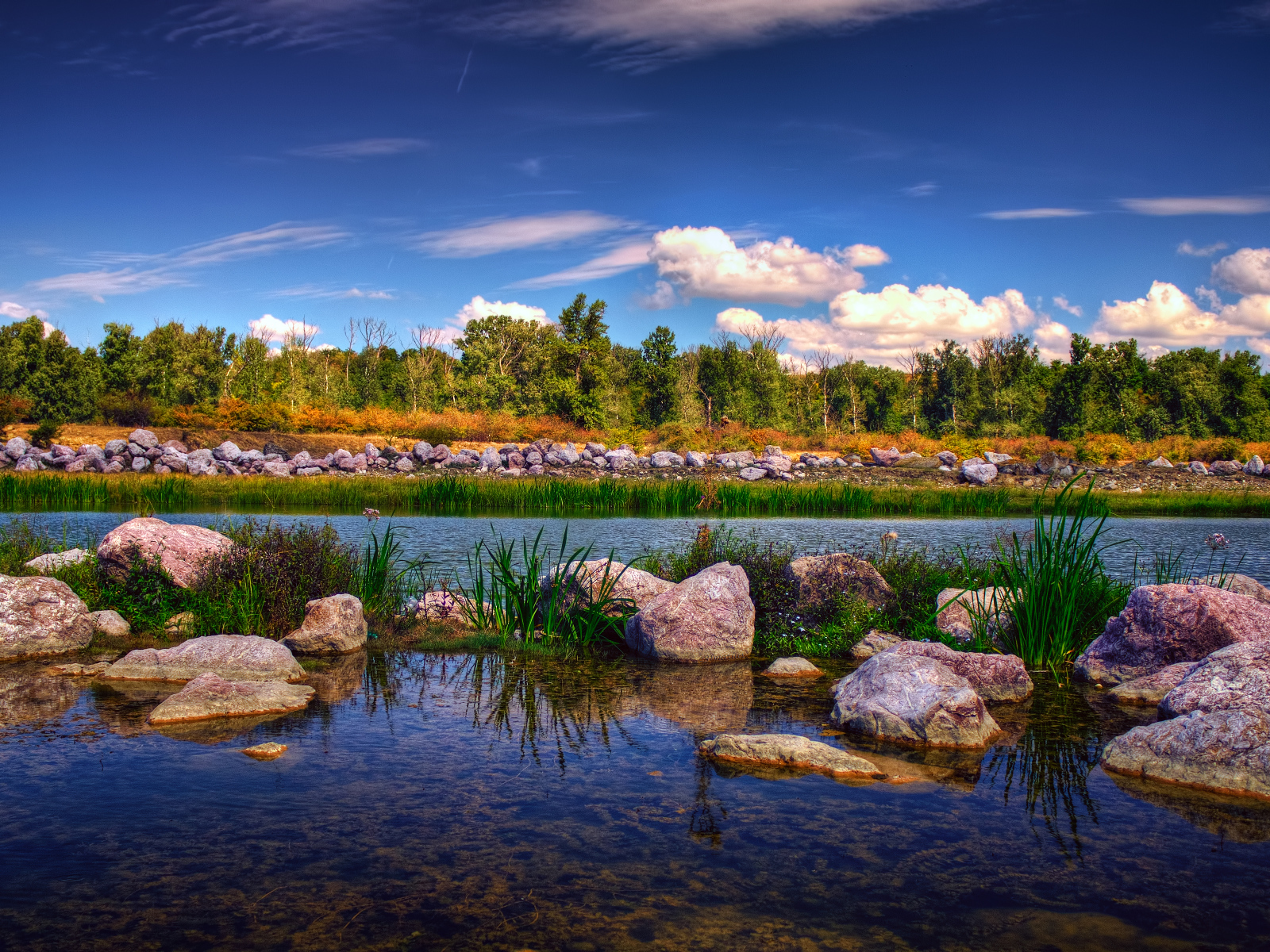 Парк в городе Бакэу, Румыния