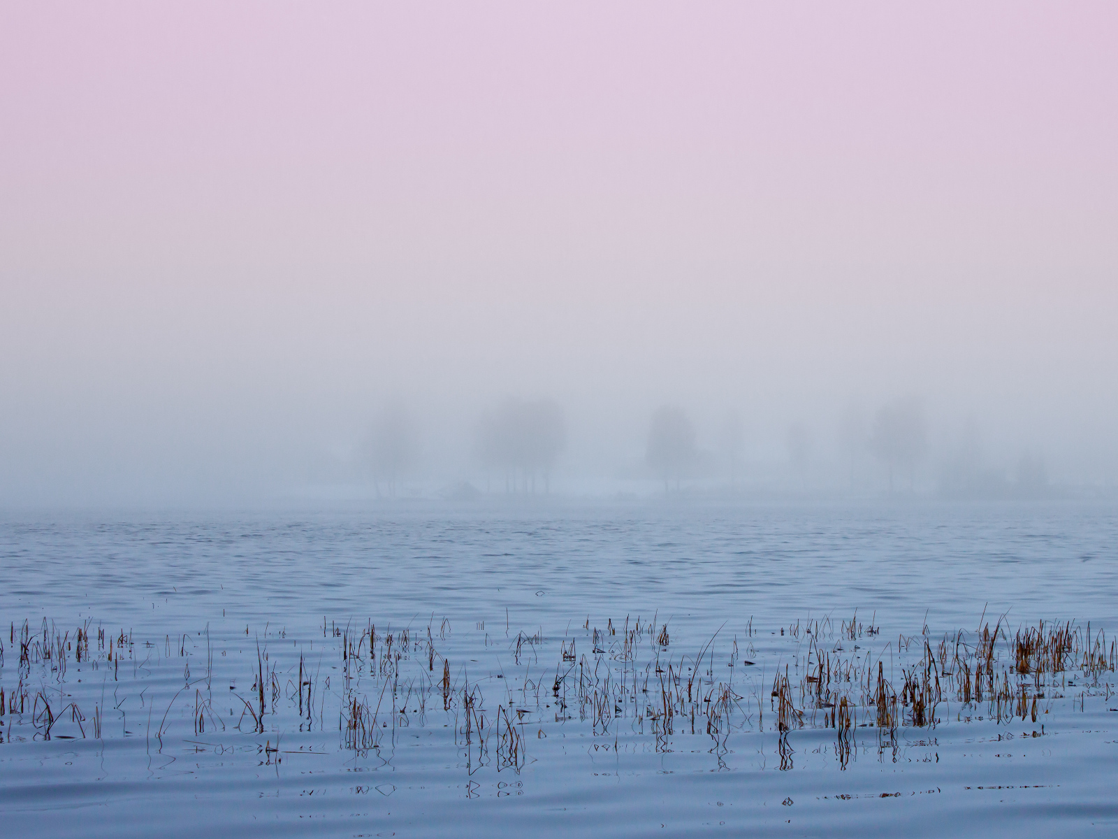 Туман в Швеции