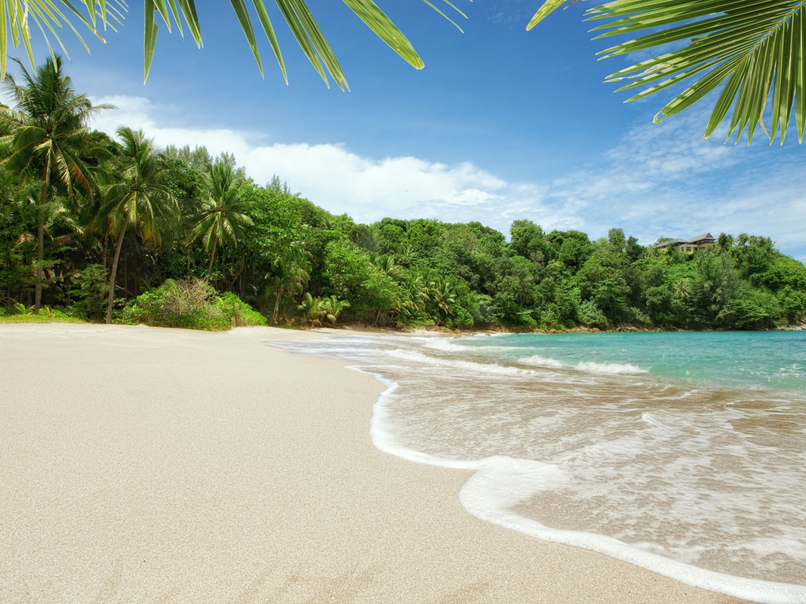 Пляж на острове Тао, Таиланд