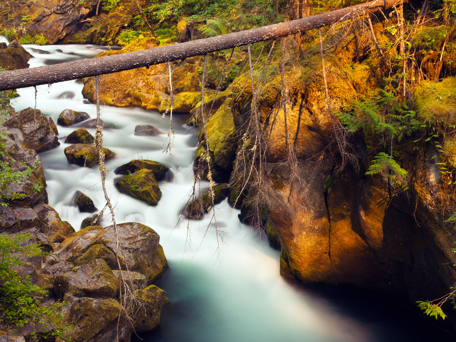 Река Северная Ампкуа, Орегон, США
