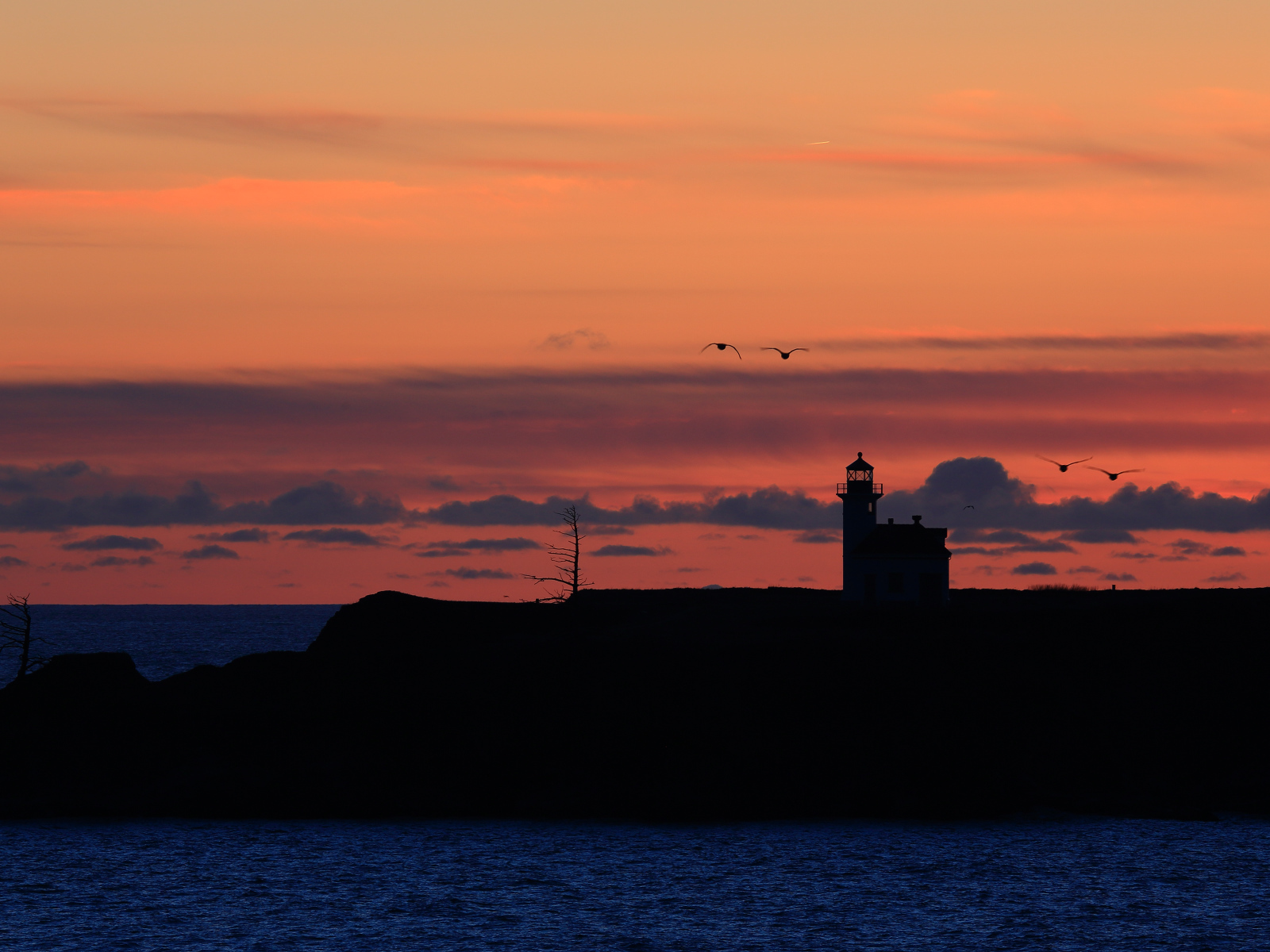 Побережье Орегона, маяк Араго, США