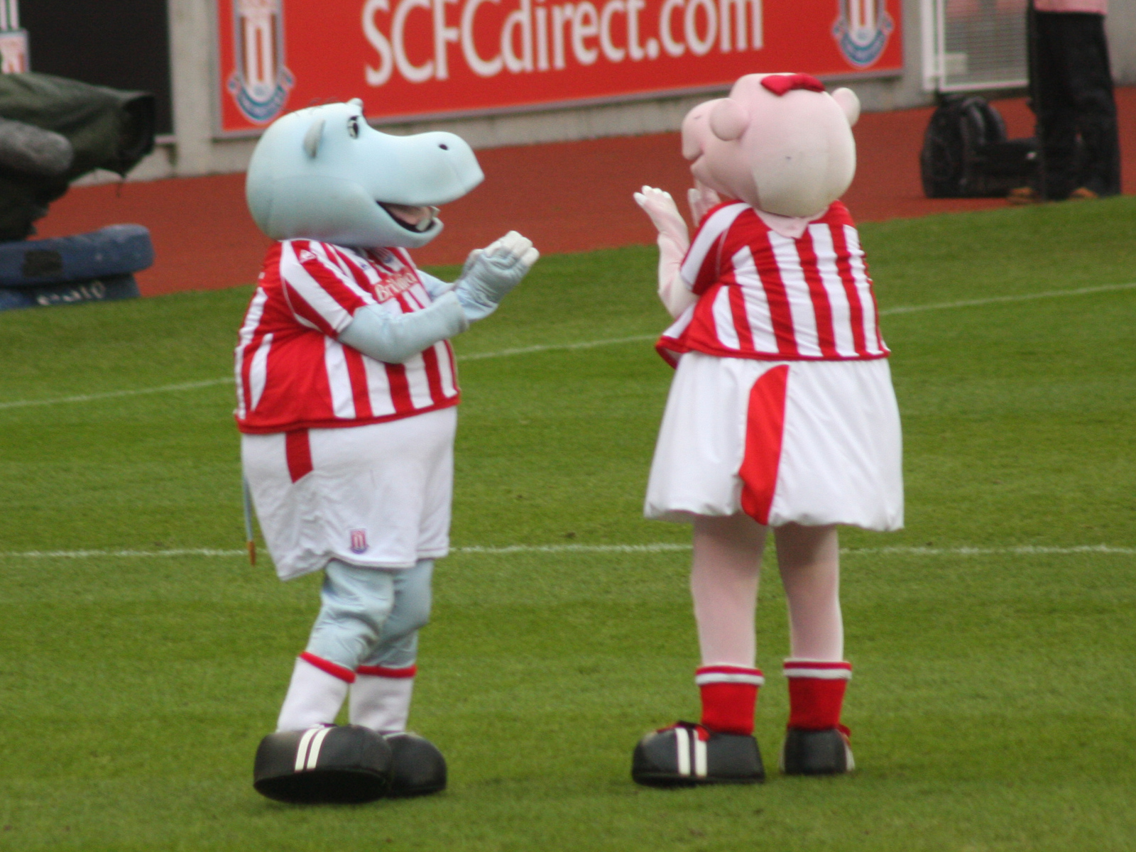 Возлюбленный ФК Англии Сток Сити