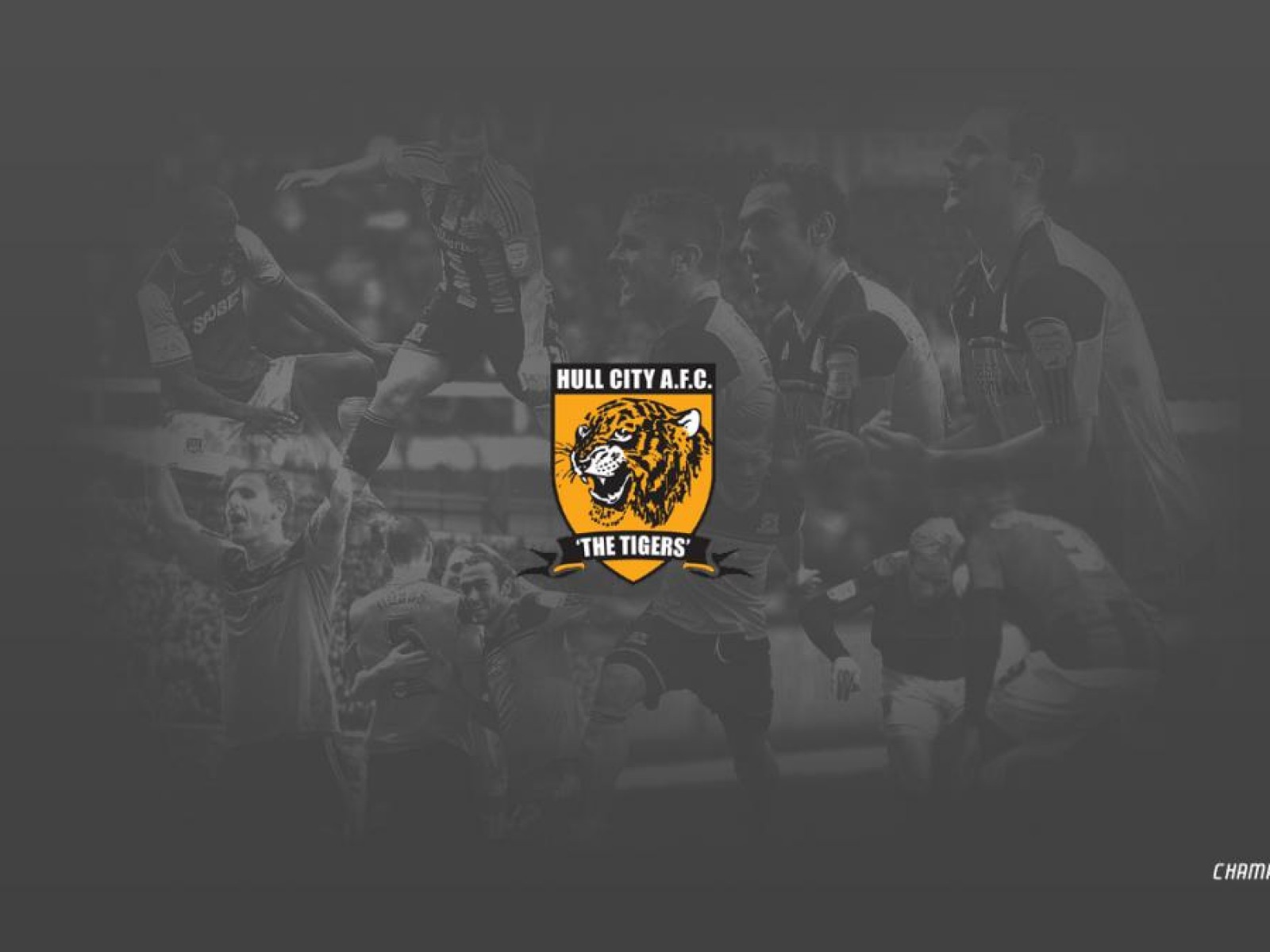 Возлюбленный ФК Англии Халл Сити