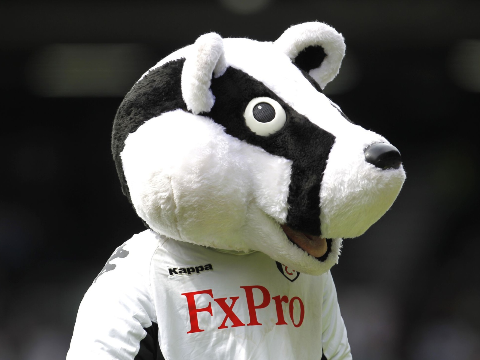 Лучший Футбольный клуб Фулхэм