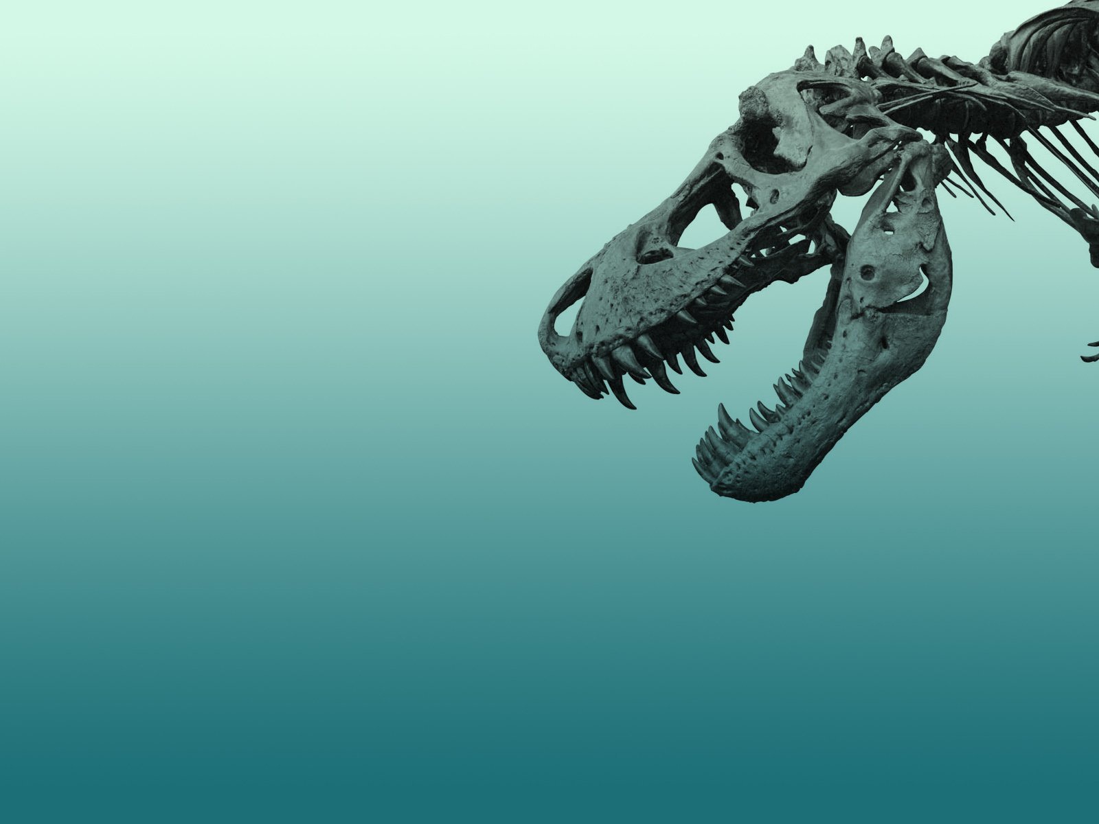 Череп динозавра