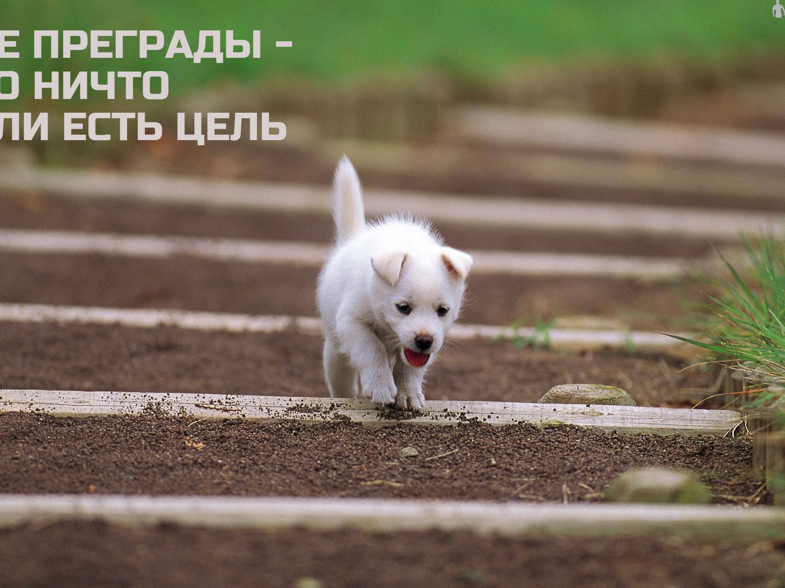 Иди к своей цели