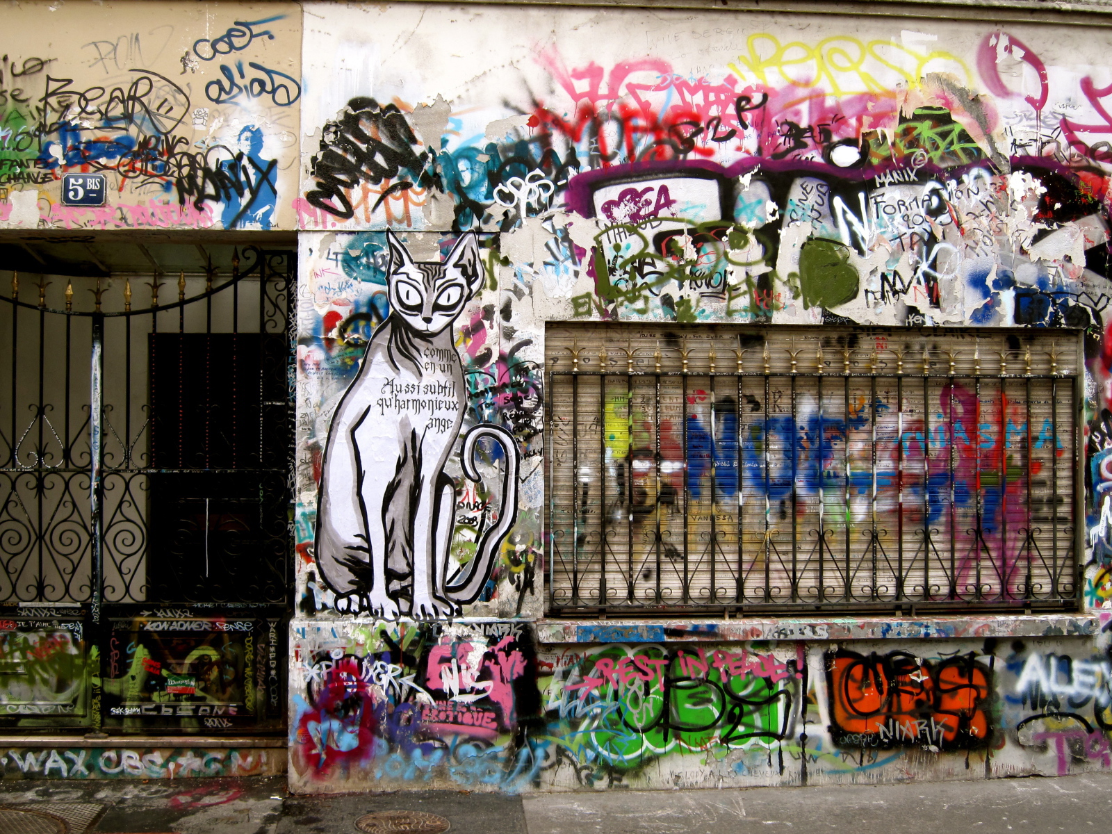 Нарисованный кот