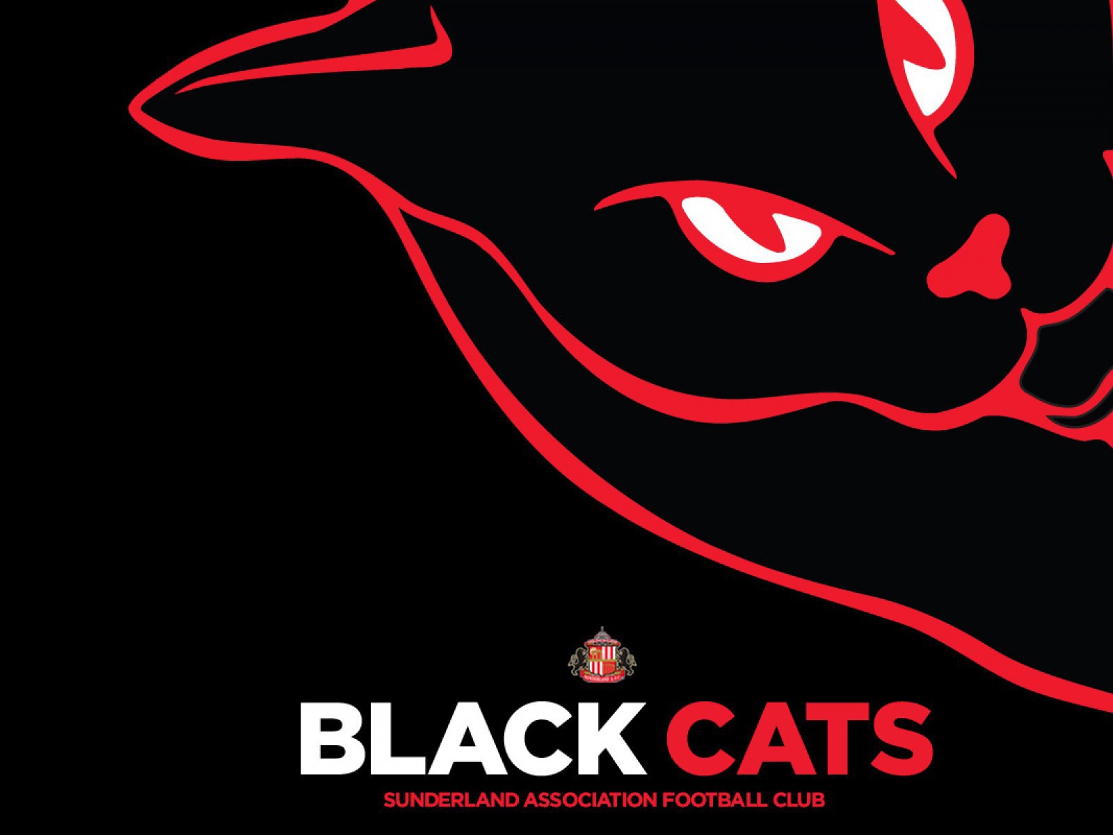 Любимая команда футбола Англии Сандерленд