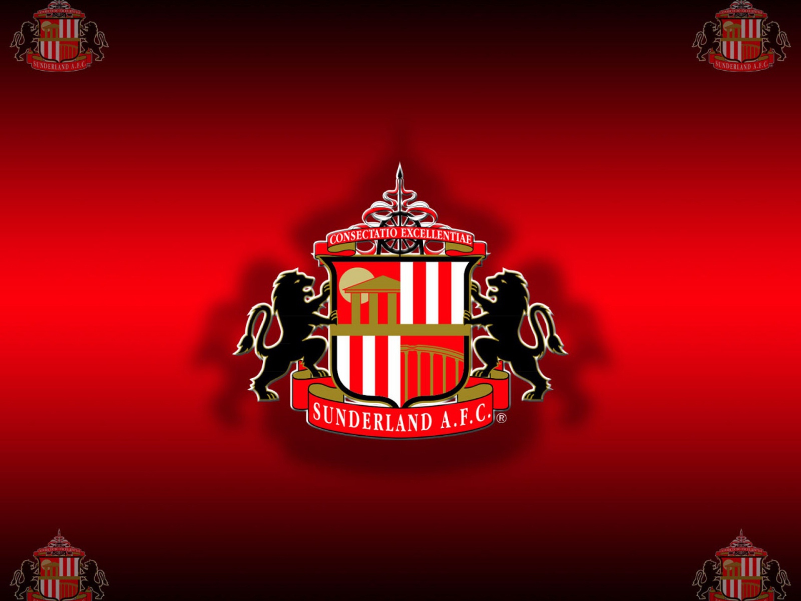 Знаменитая футбольная команда Англии Сандерленд