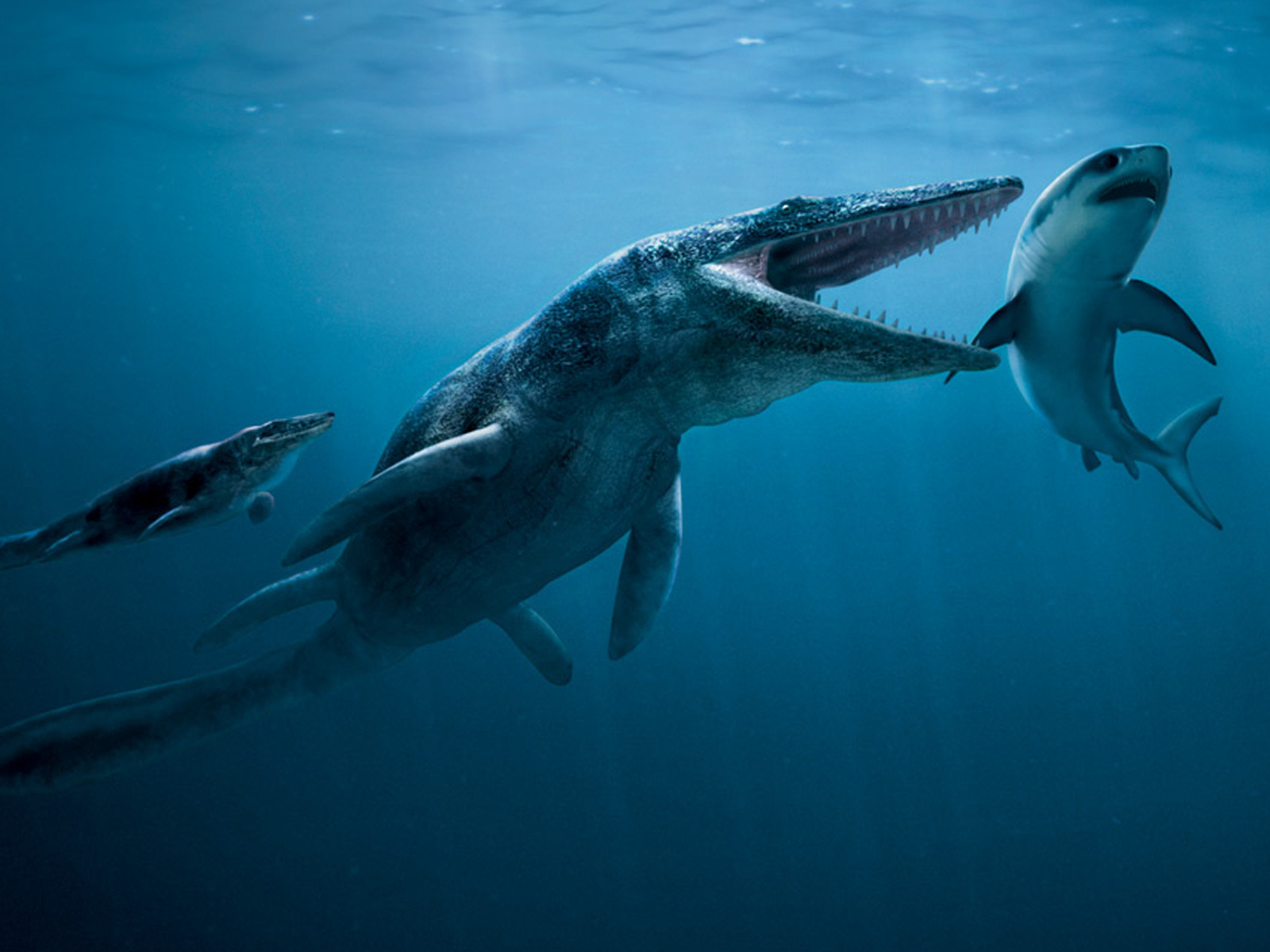 Подводные сражения динозавров