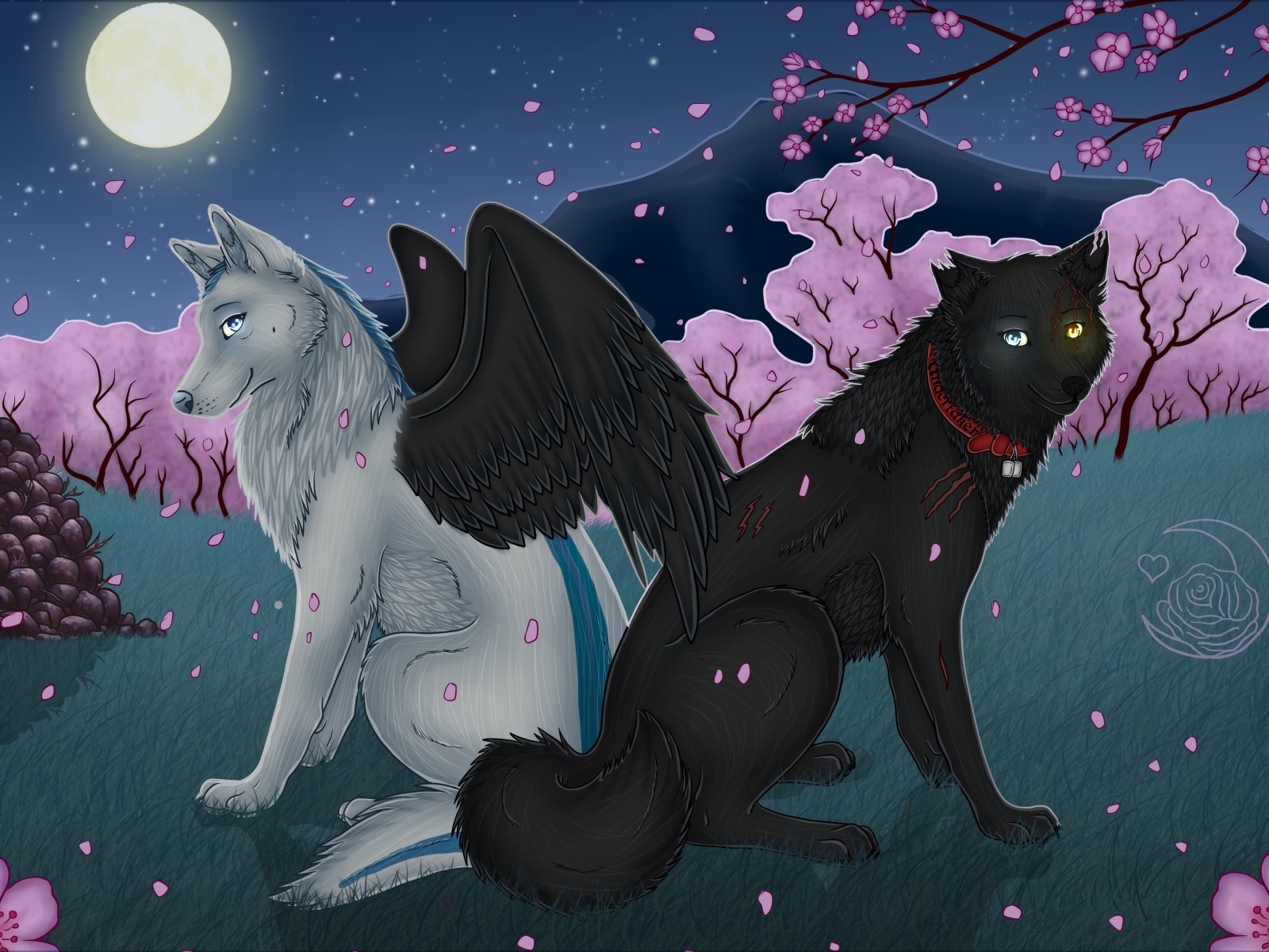 Волки с крыльями