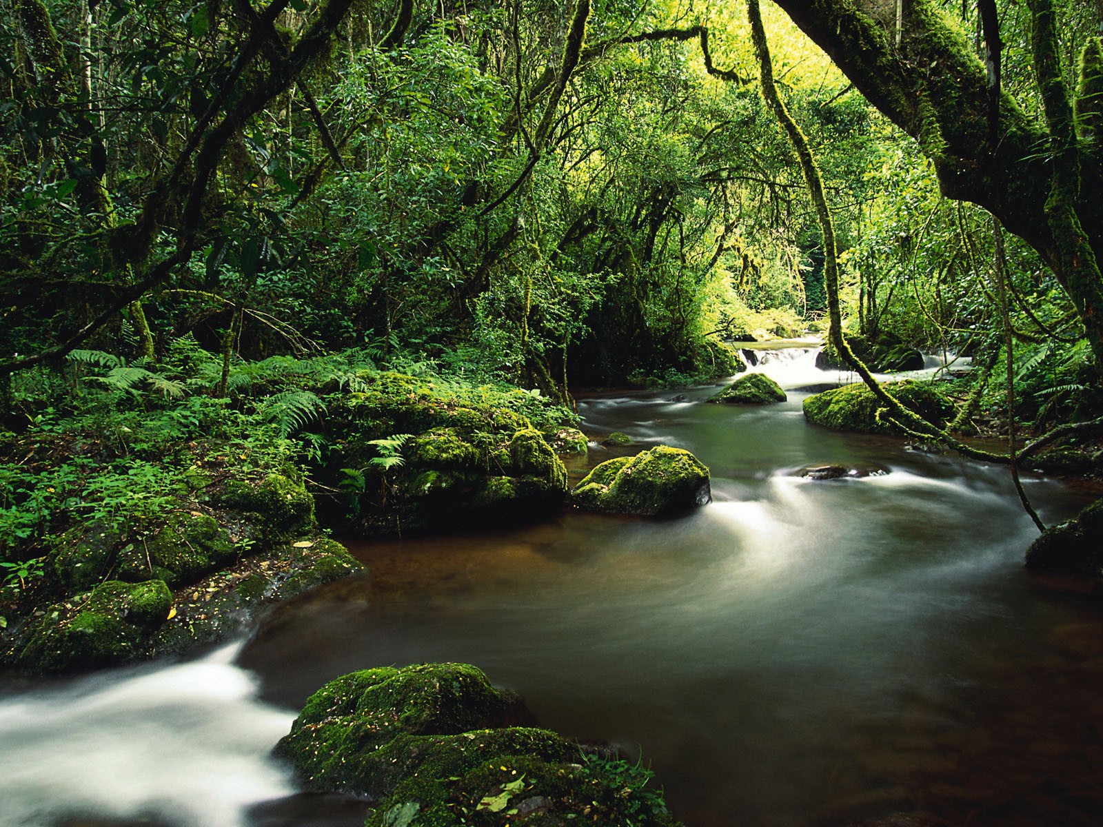 Туристическое Коста-Рика