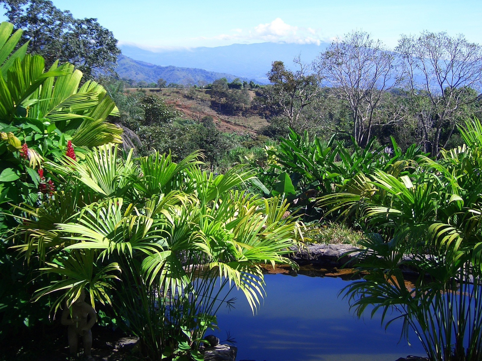 Привлекательное Коста-Рика