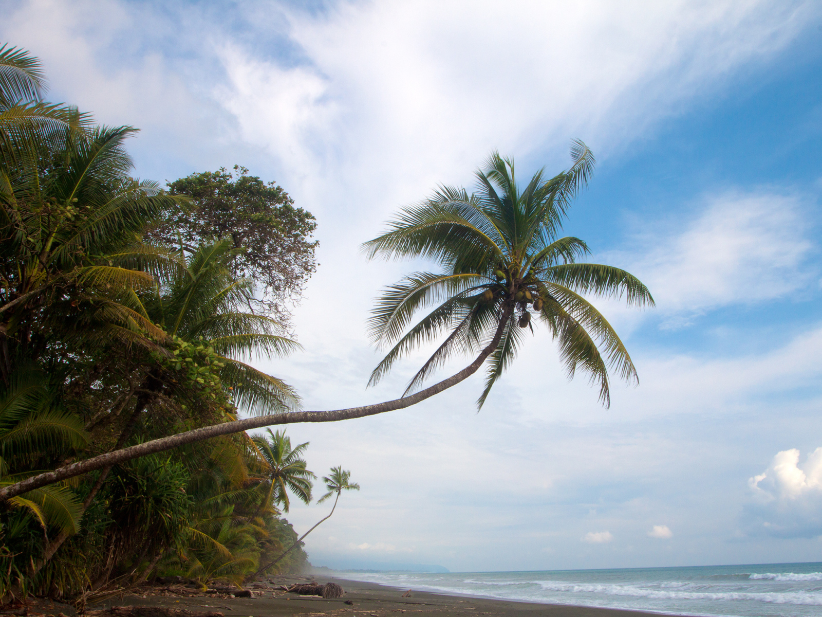 Великое Коста-Рика