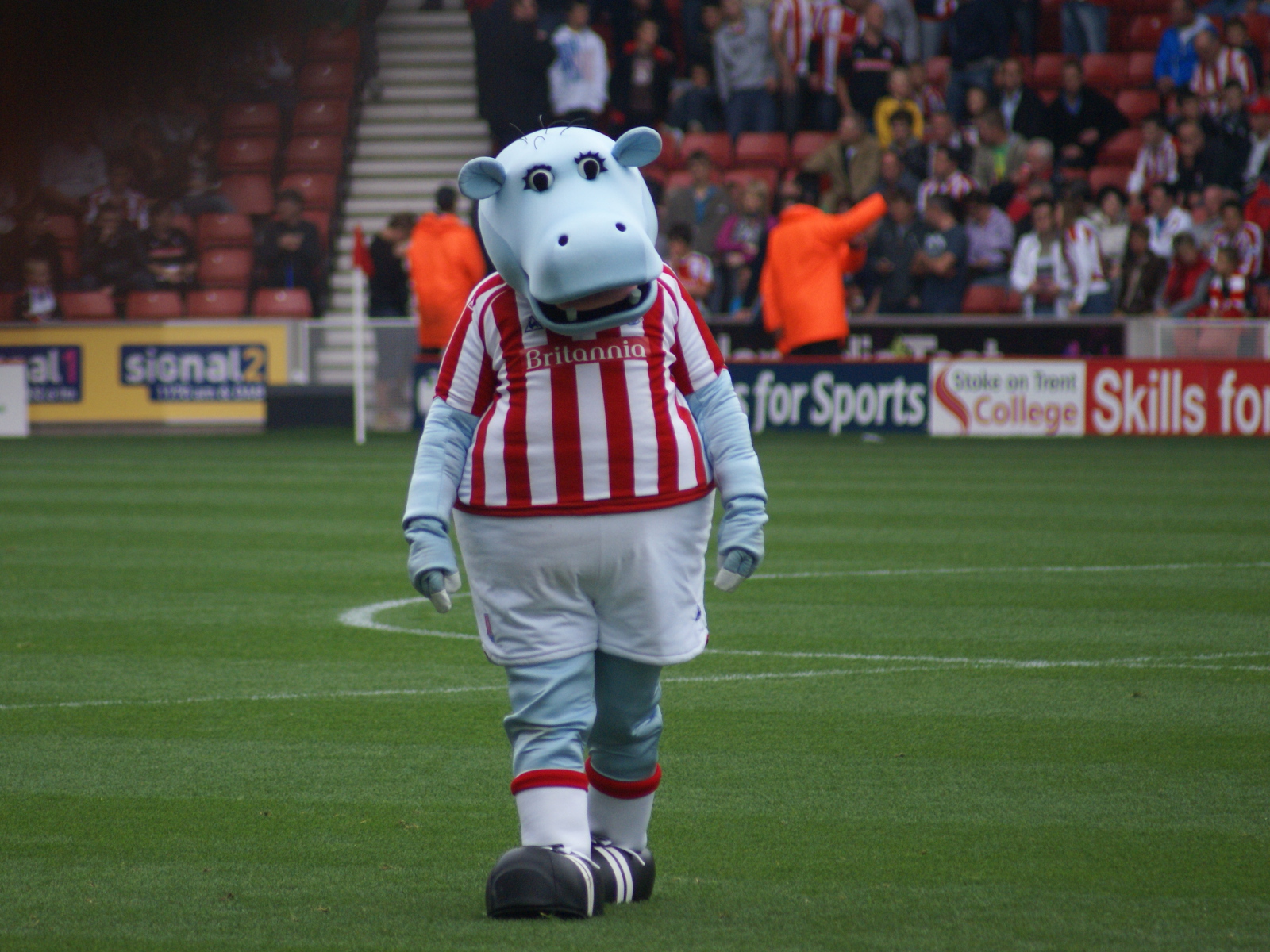 Известный ФК Сток Сити