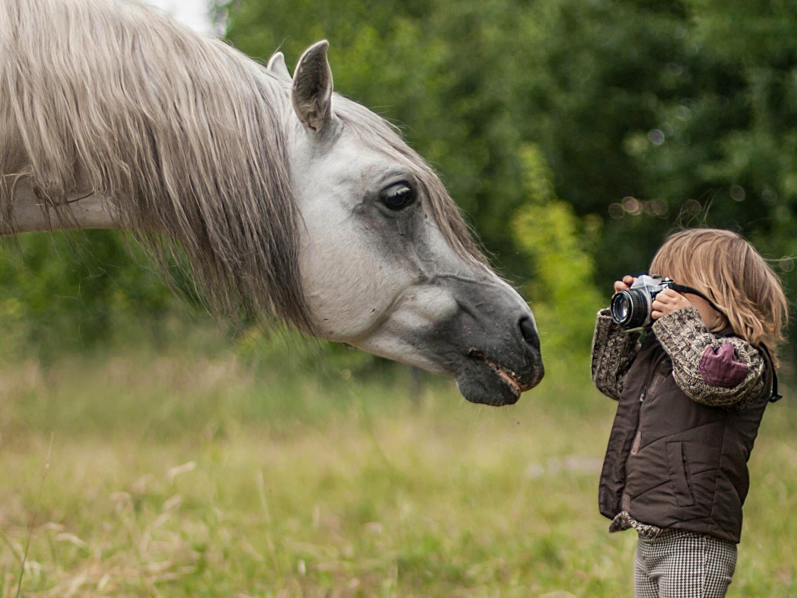 Мальчик фотографирует лошадь
