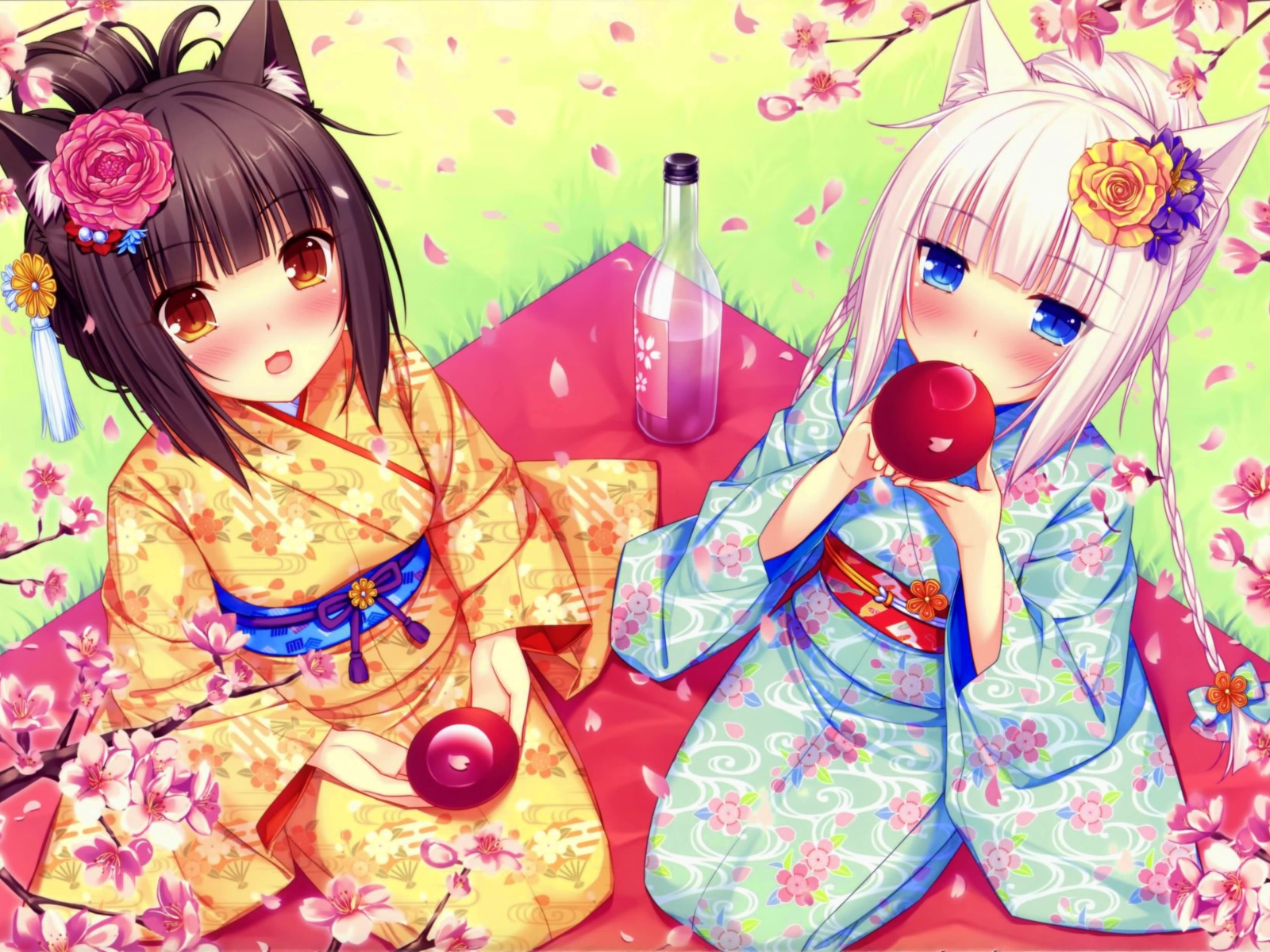 Аниме девушки на пикнике, Neko Para