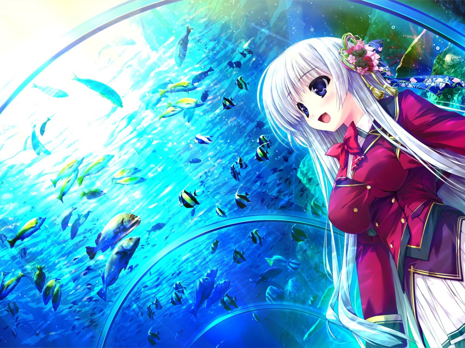 Девушка в океанариуме в аниме Натюрморт в серых тонах