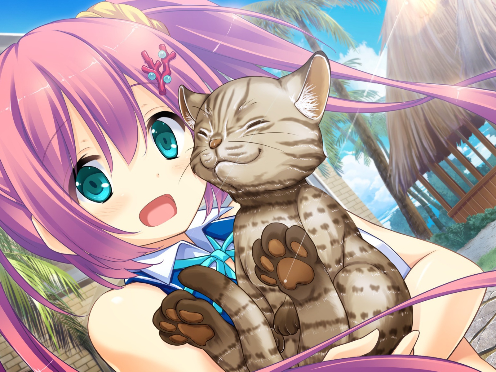 Девушка Шикуми Шанго с котом, аниме