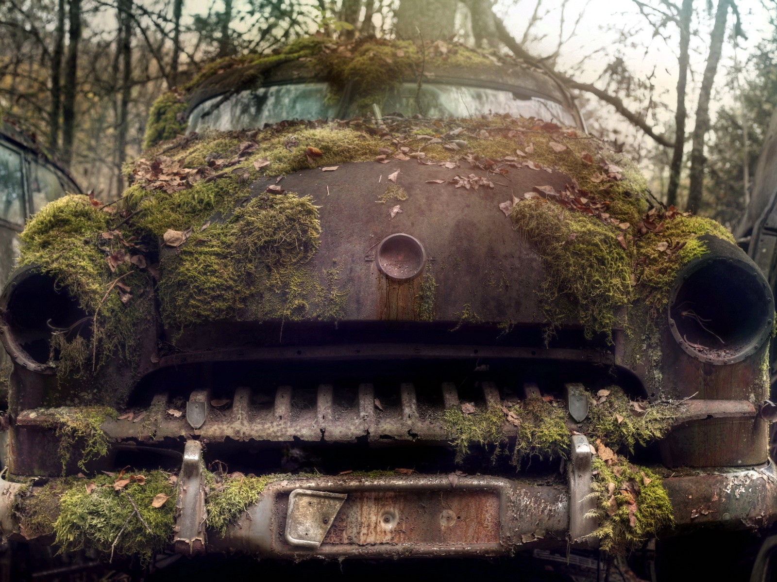 Ржавый корпус старого авто порос мхом