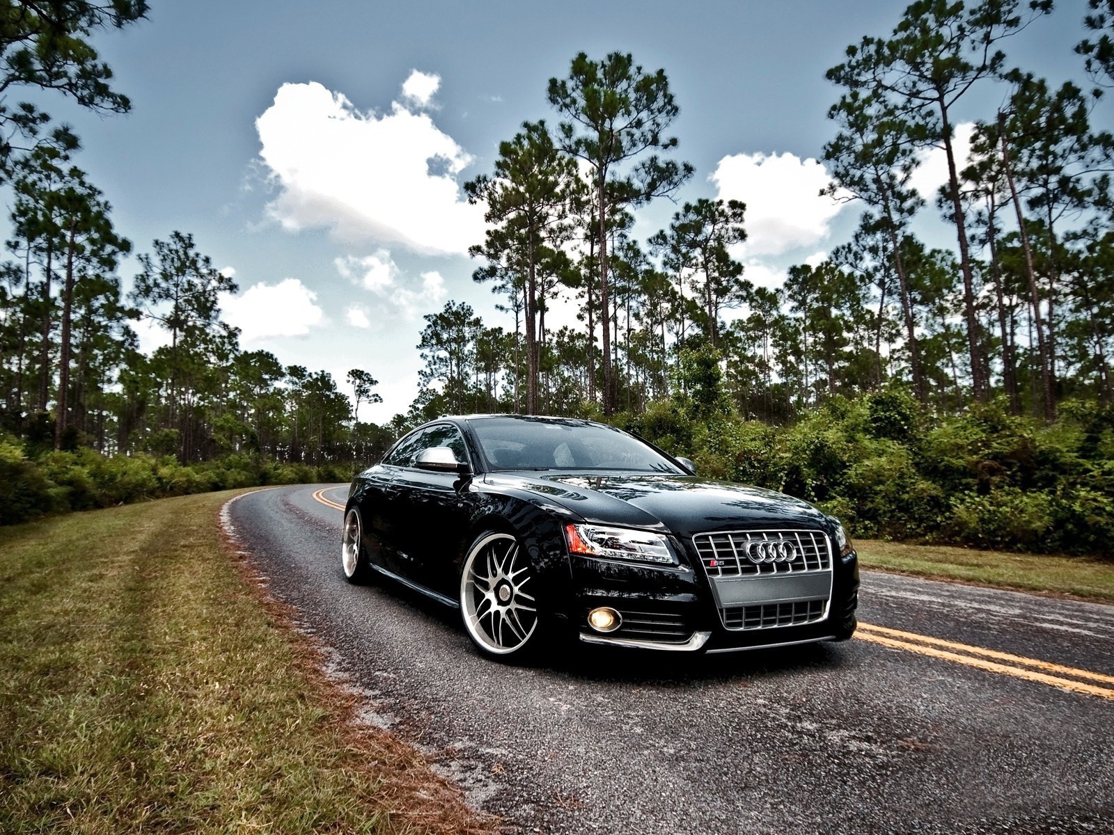 Роскошный черный Audi S5 на шоссе в лесу