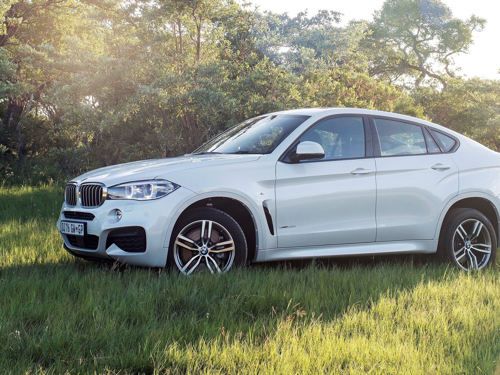 Полноприводный белый BMW на траве