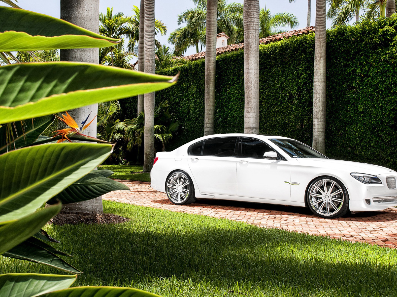 Белый БМВ во дворе богатого дома