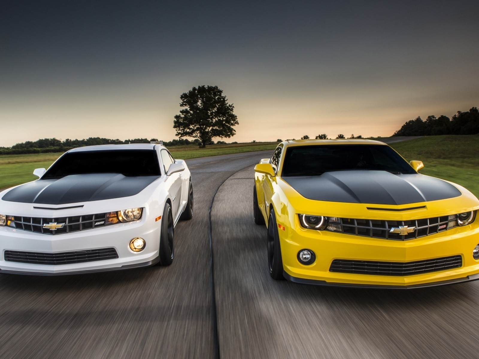 Соревнования белого и желтого Chevrolet Camaro