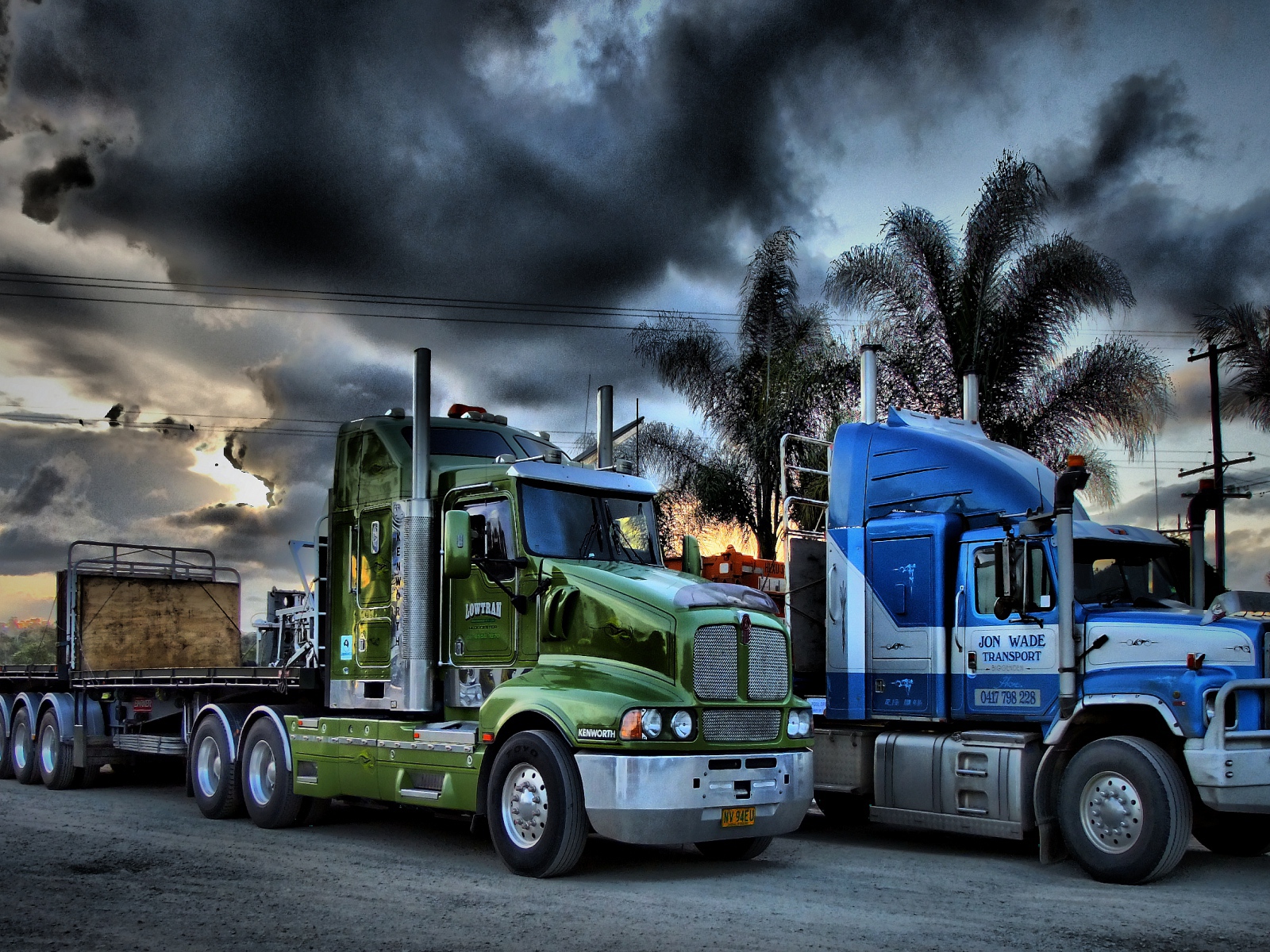 Тягачи на фоне пальм