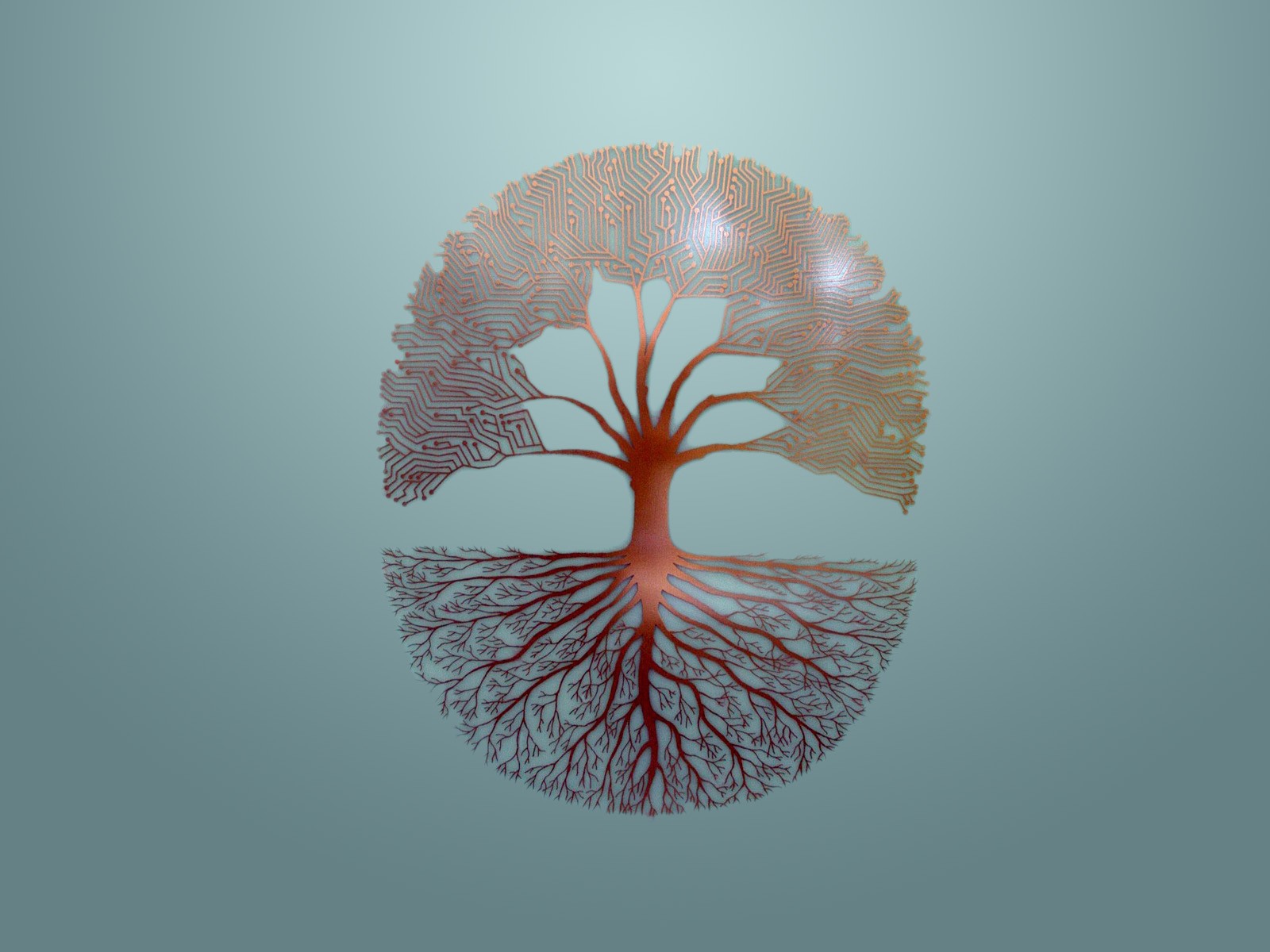 Ветви и корни дерева, серый фон