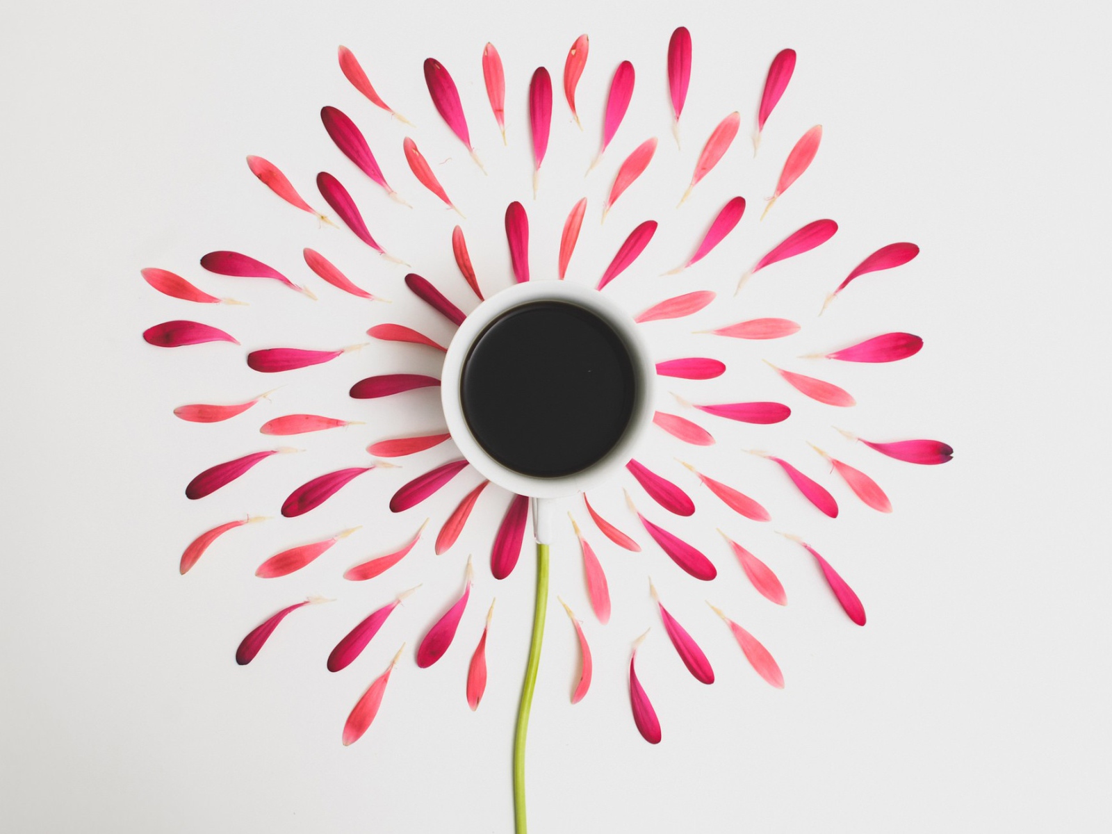 Чашка на изображении цветка