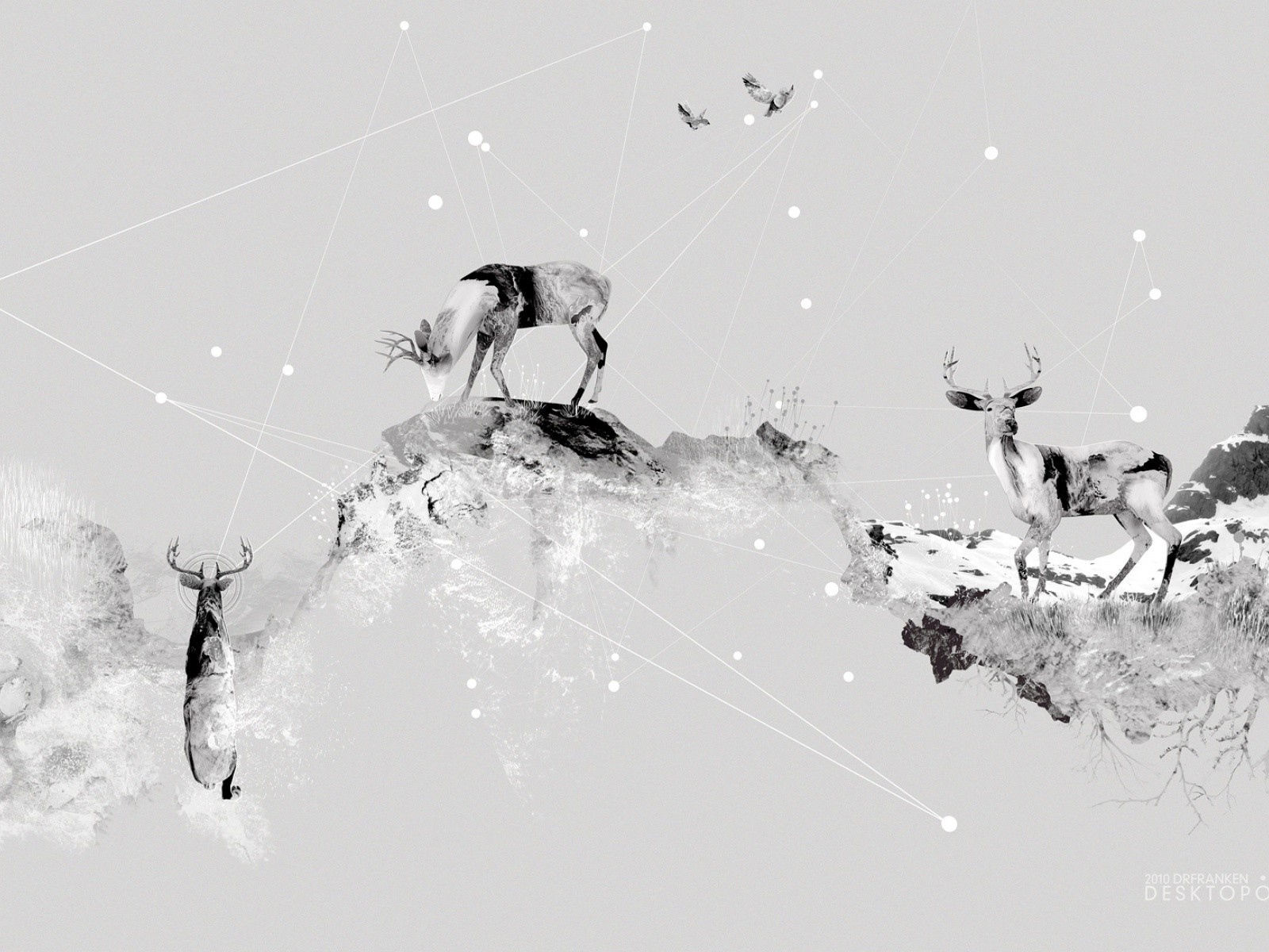 Олени в горах, серый фон