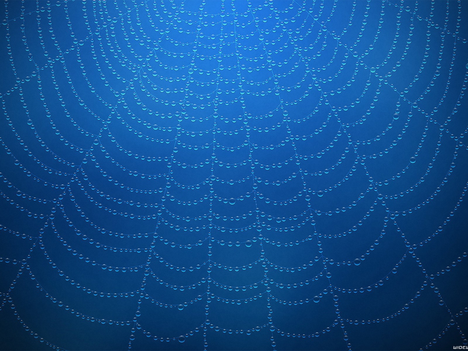 Роса на паутине, голубой фон