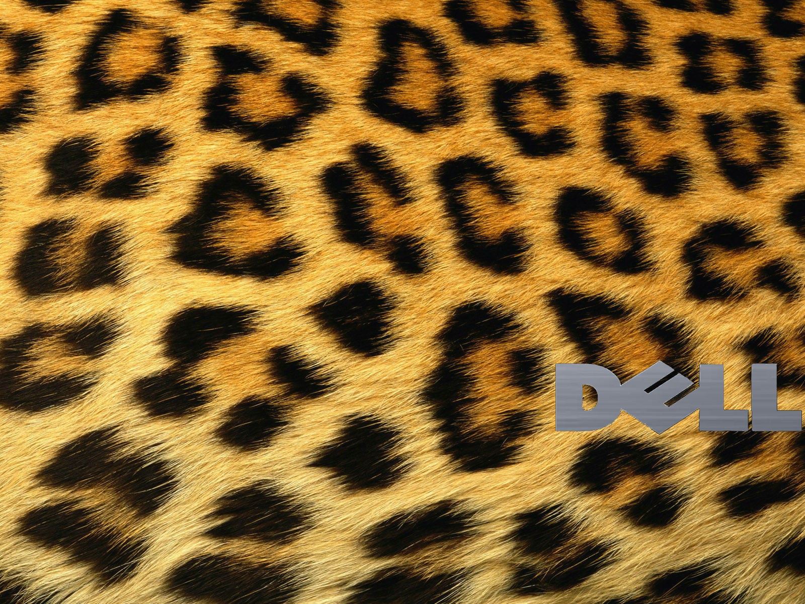 Шкура леопарда, фон Делл