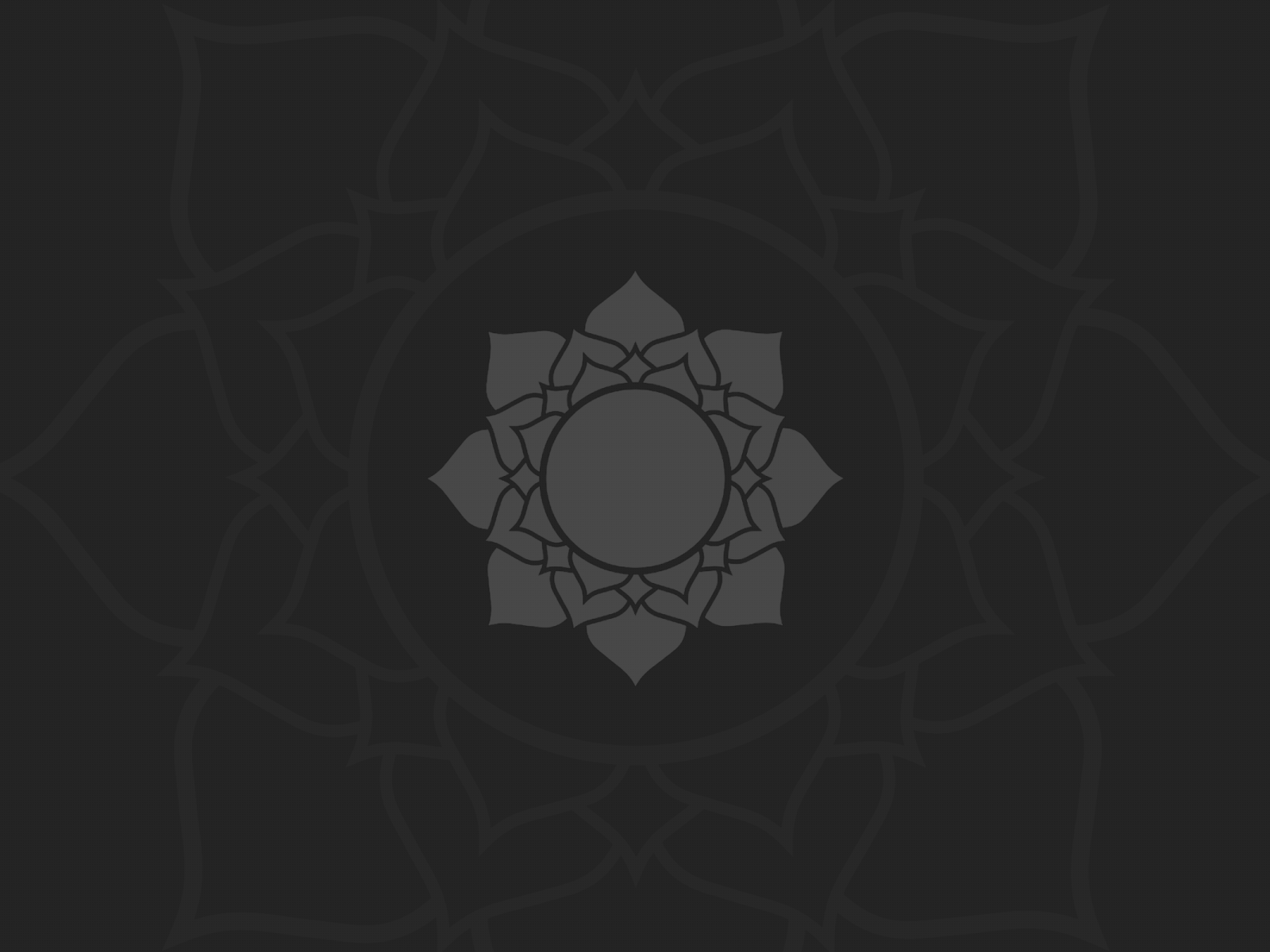 Цветок лотоса, темно серый фон