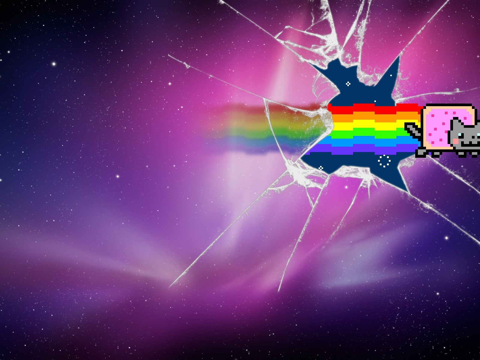 Нян кот разбил стекло