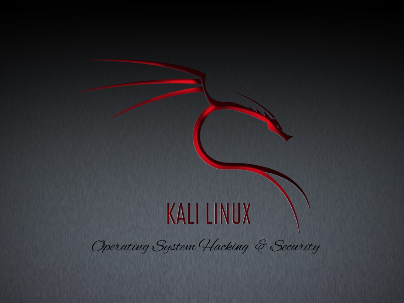 Kali linux how to. Кали линукс. Линукс kali. Kali Linux обои. Дракон Кали линукс.