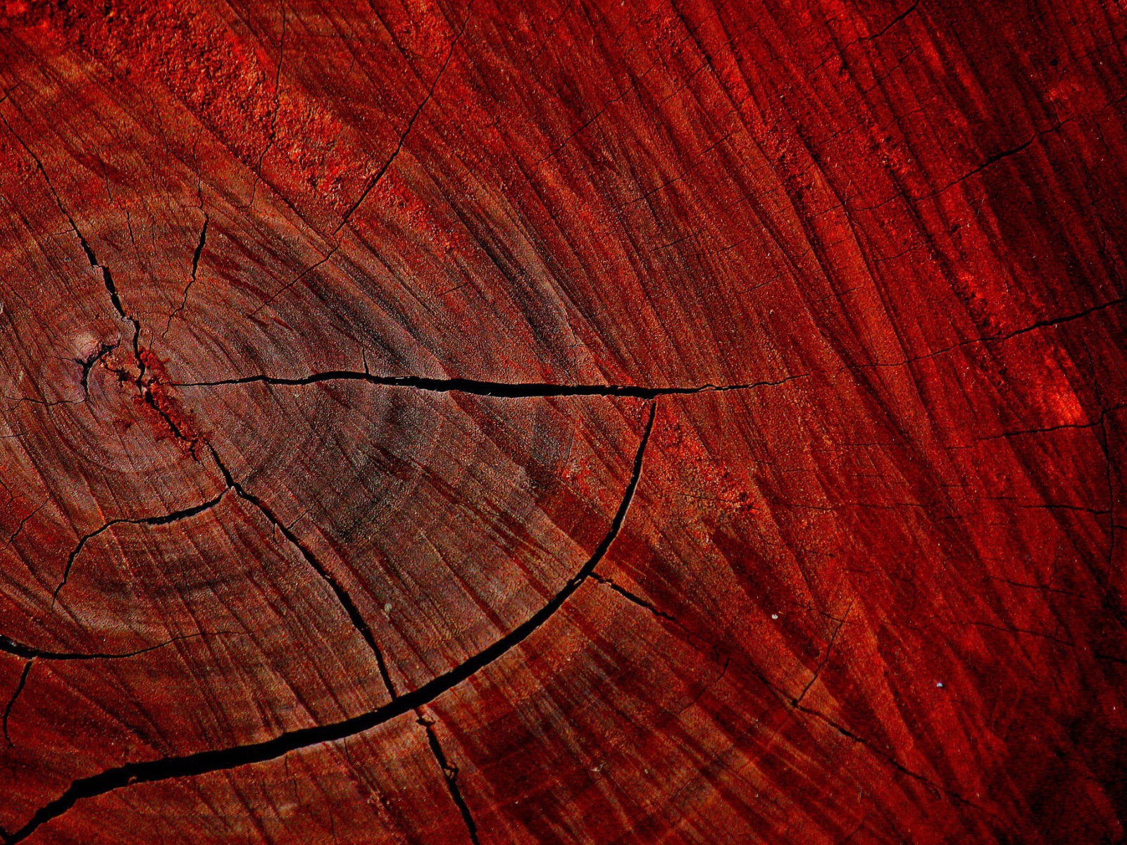 Красный спил дерева