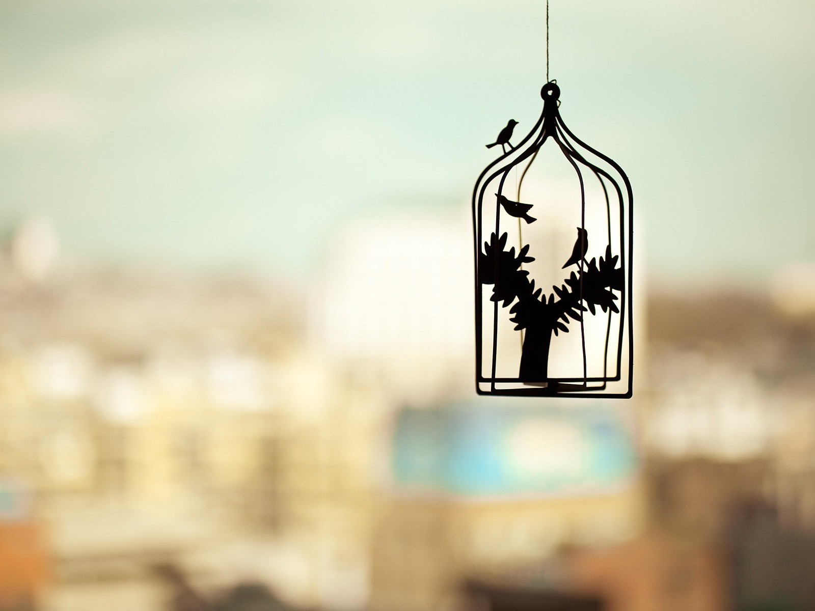 Силуэт клетки для птиц на нечетком фоне