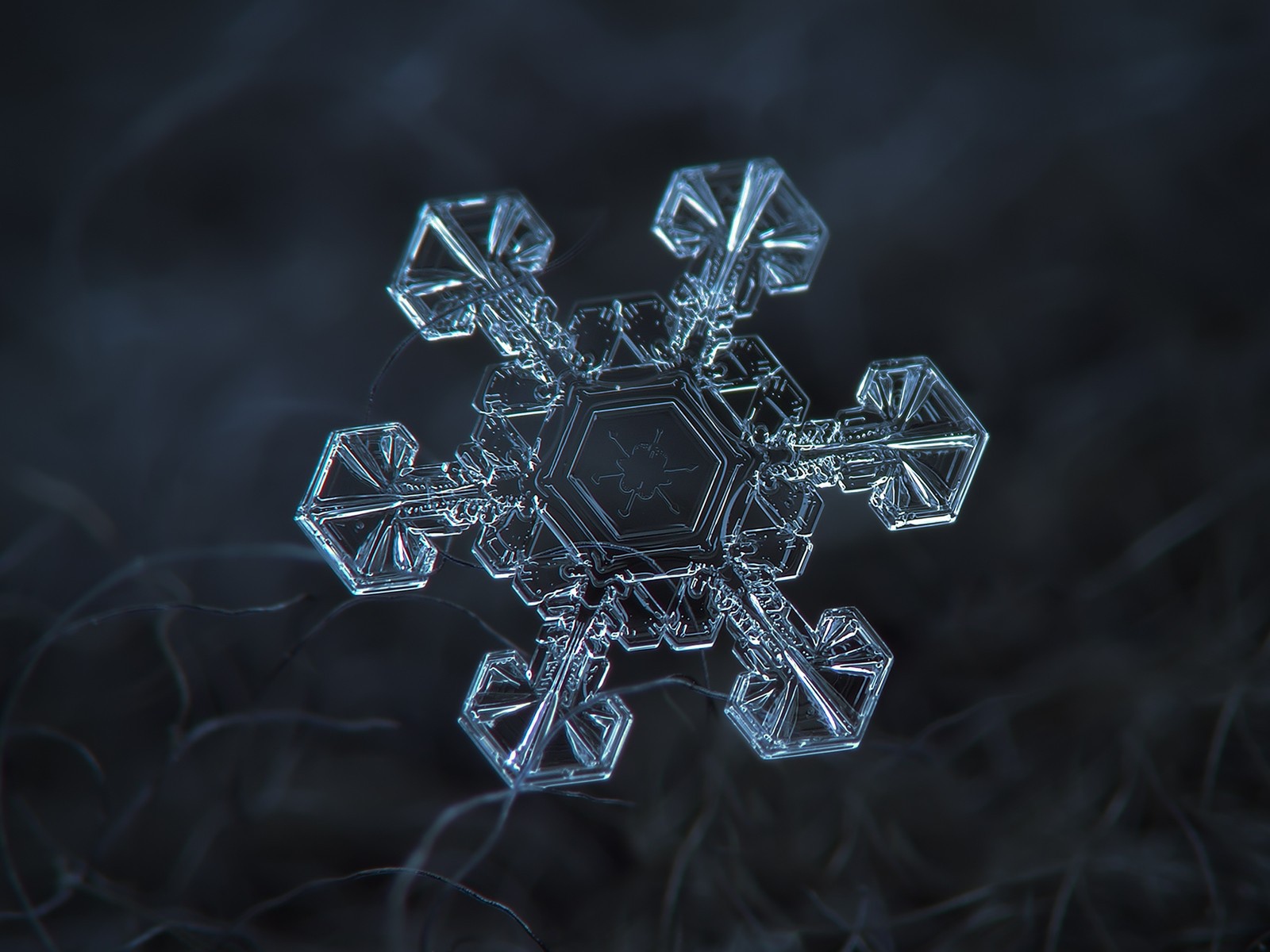 Снежинка под увеличением на черном фоне