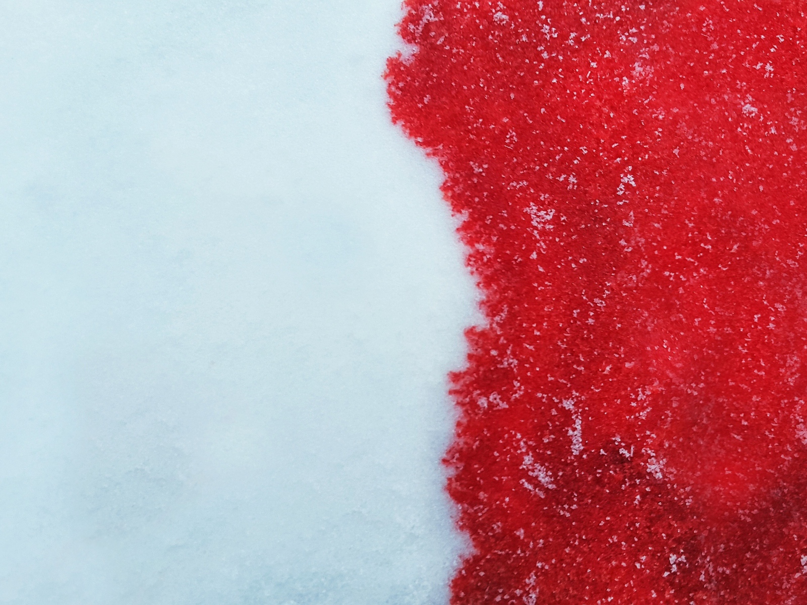 Кровь на белом снеге