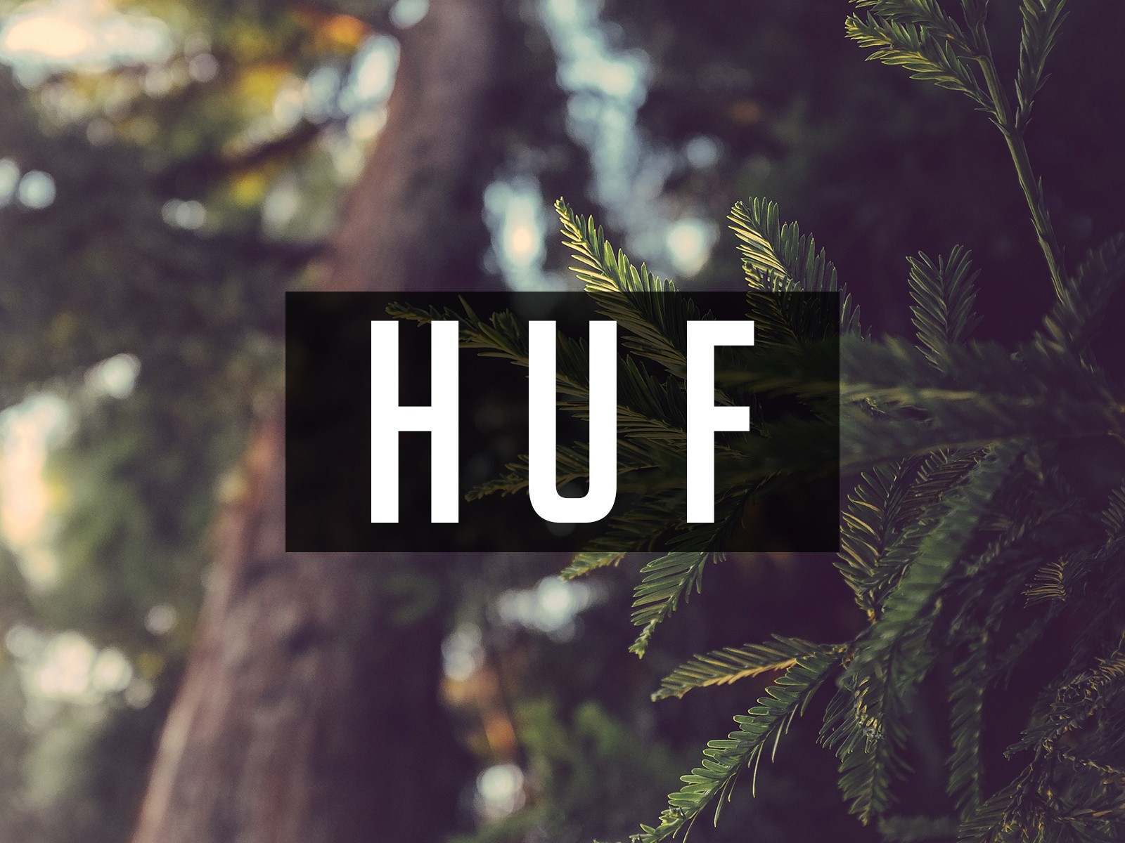 Надпись ХУФ на фоне еловых веток