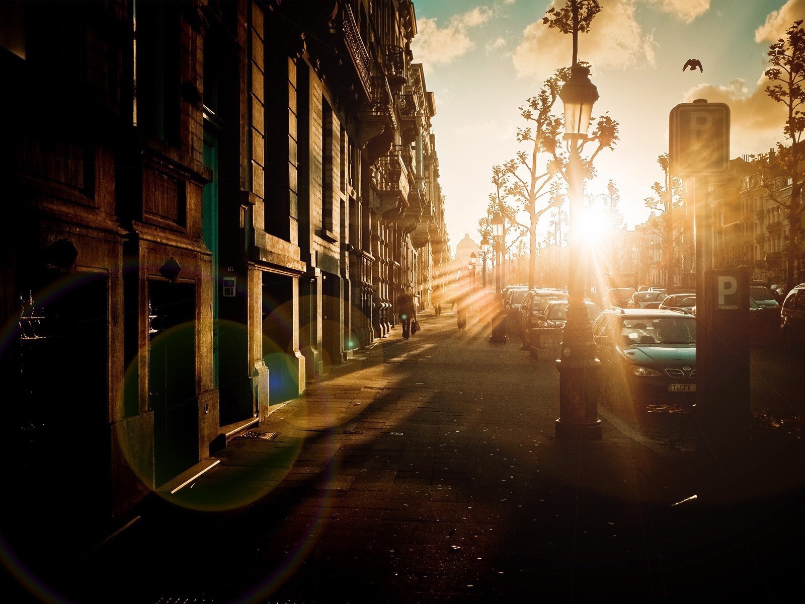 Блик от солнца на закате