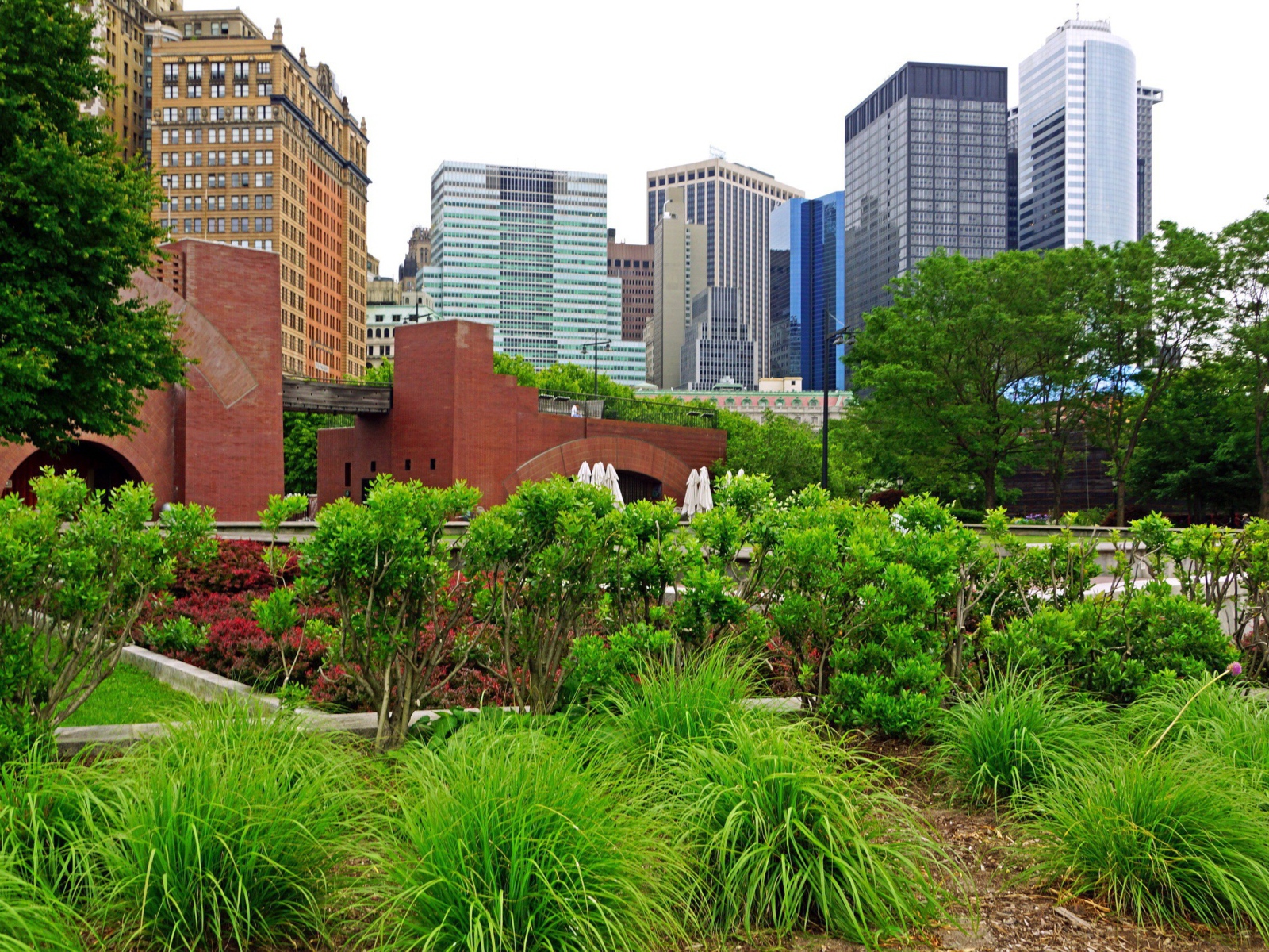 Зеленый парк в центре города