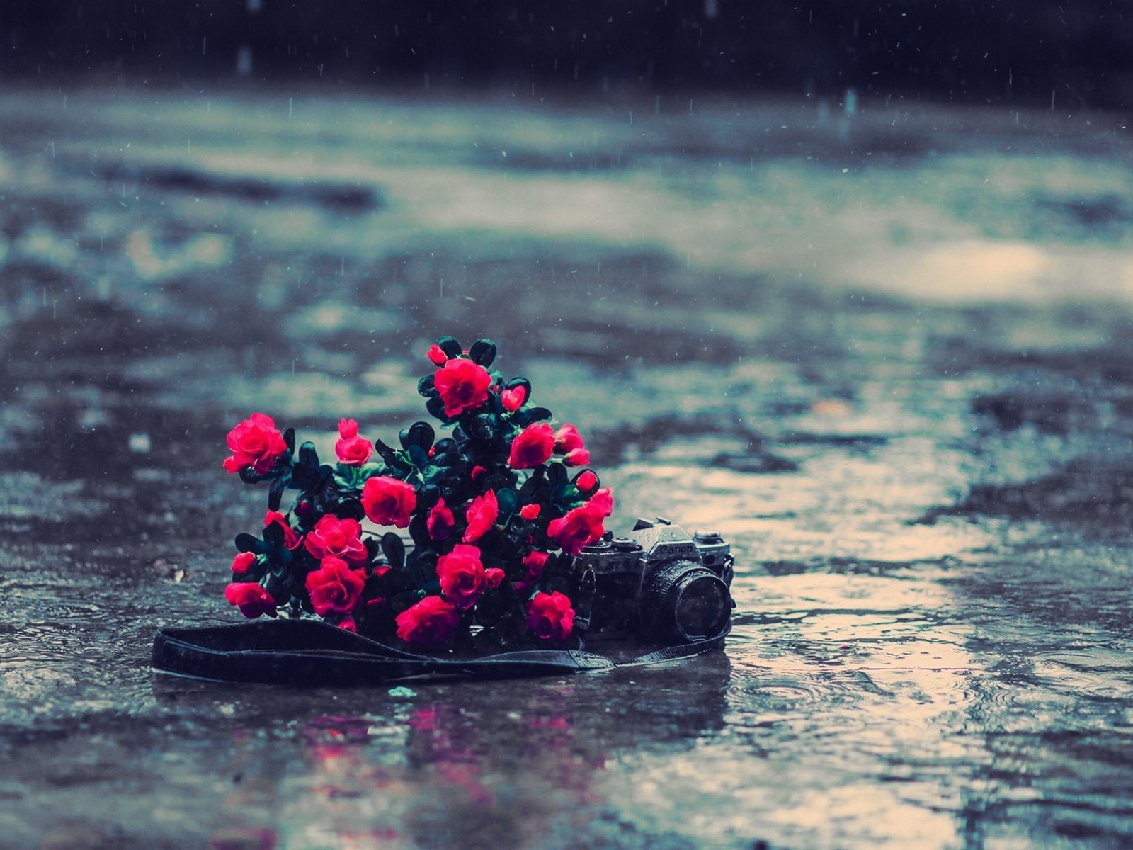 Букет цветов и фотоаппарат под дождем