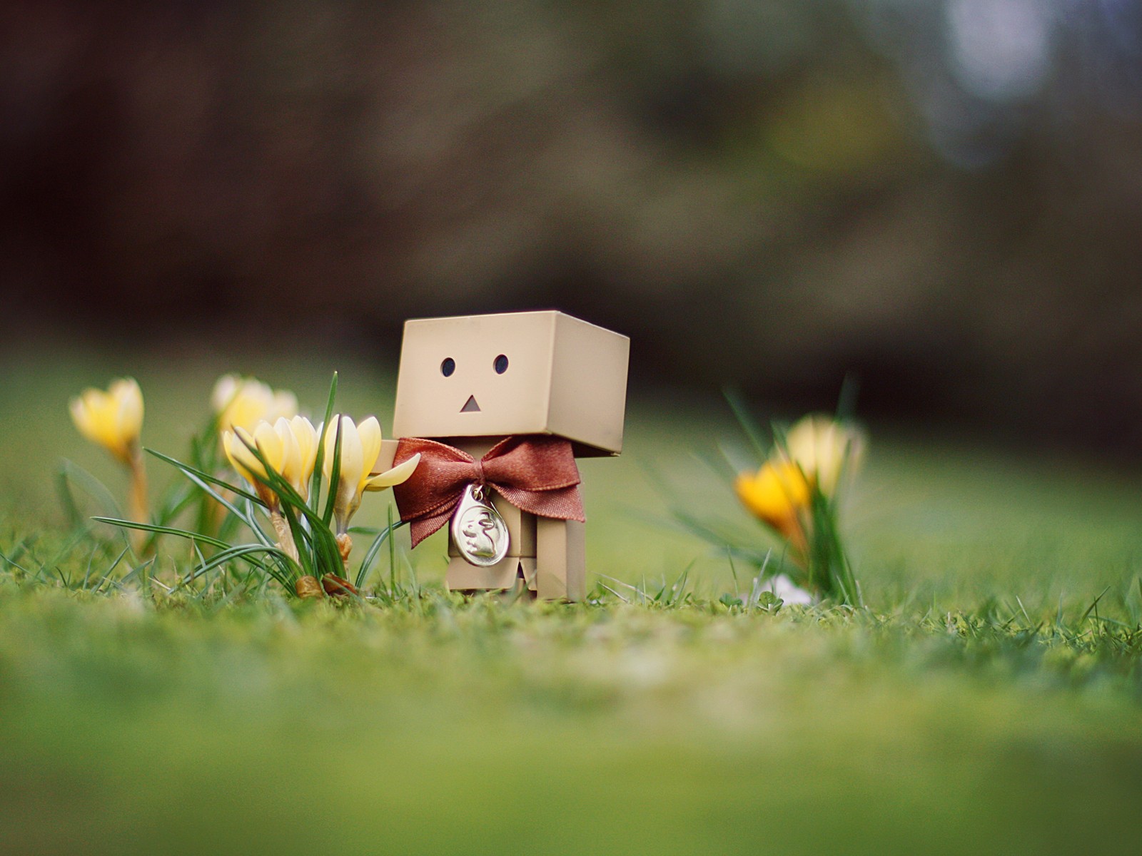 Картонный человечек ухаживает за цветами