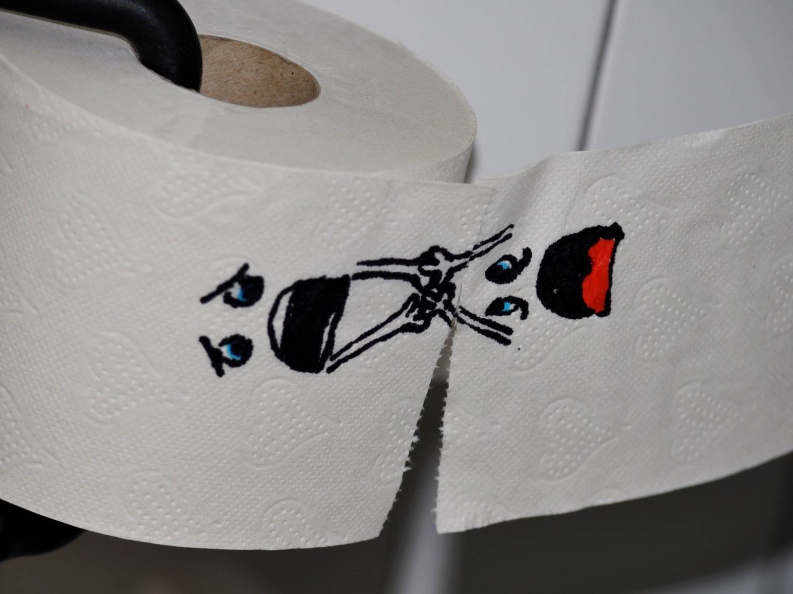 Рисунок на туалетной бумаге