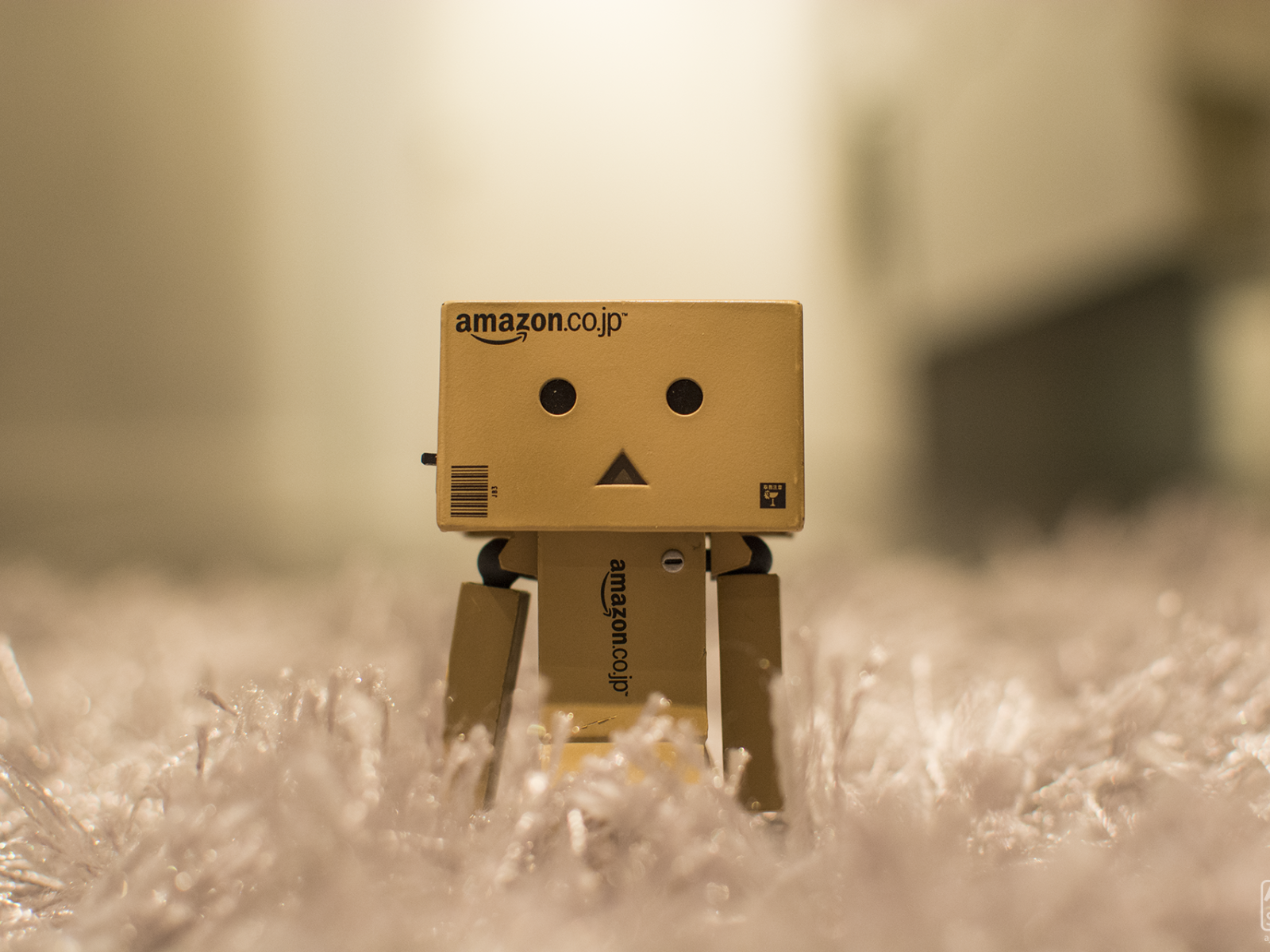 Японский Данбору кун