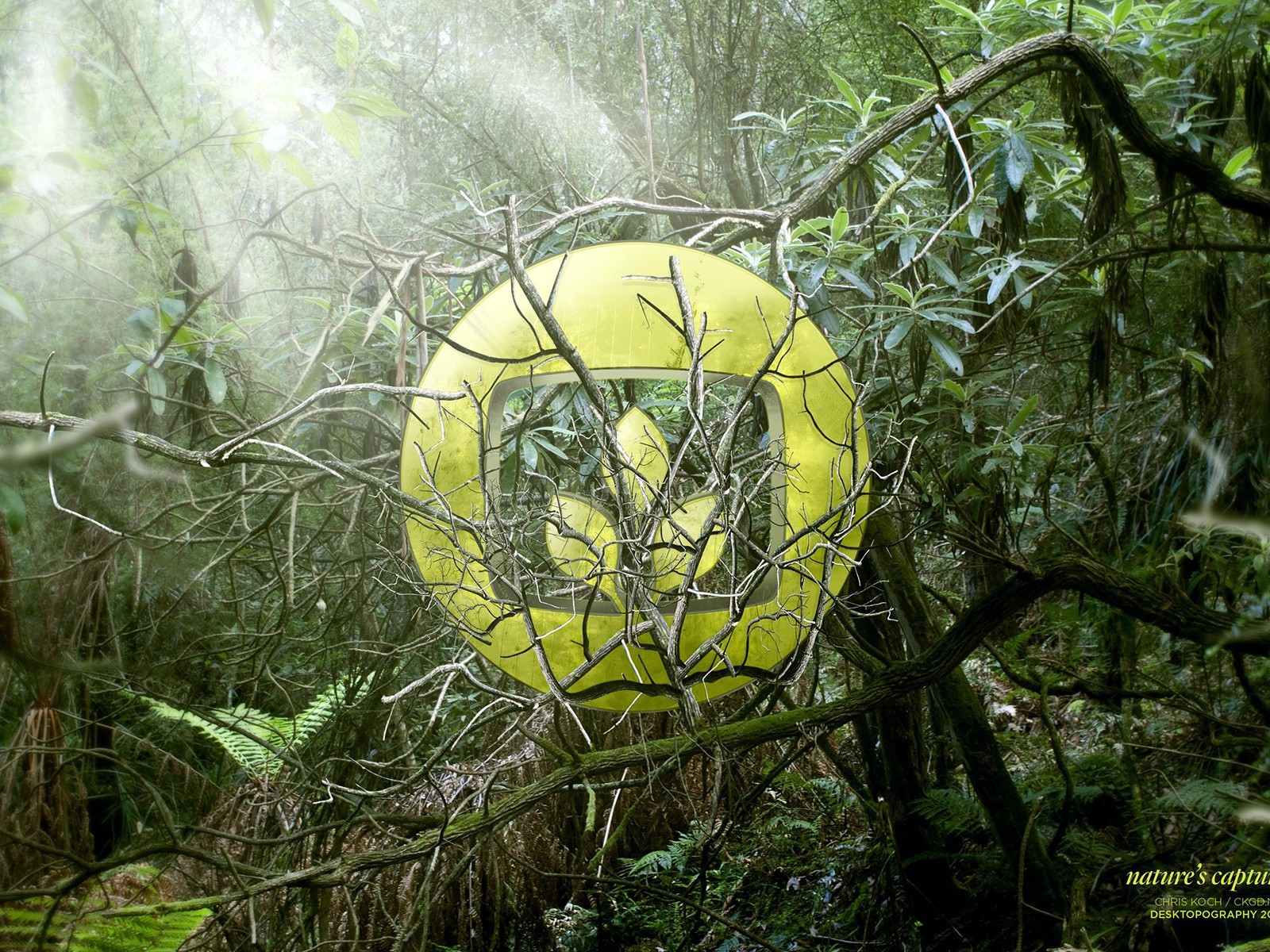 Символ лепестков на фоне зарослей