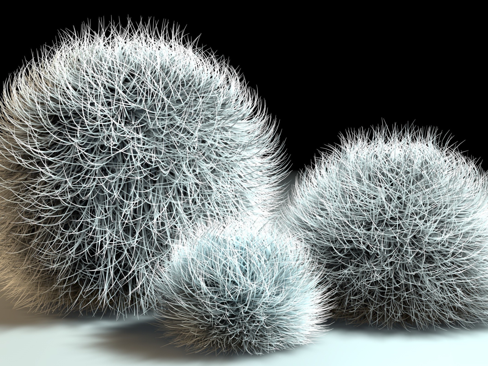 Шарики из мха